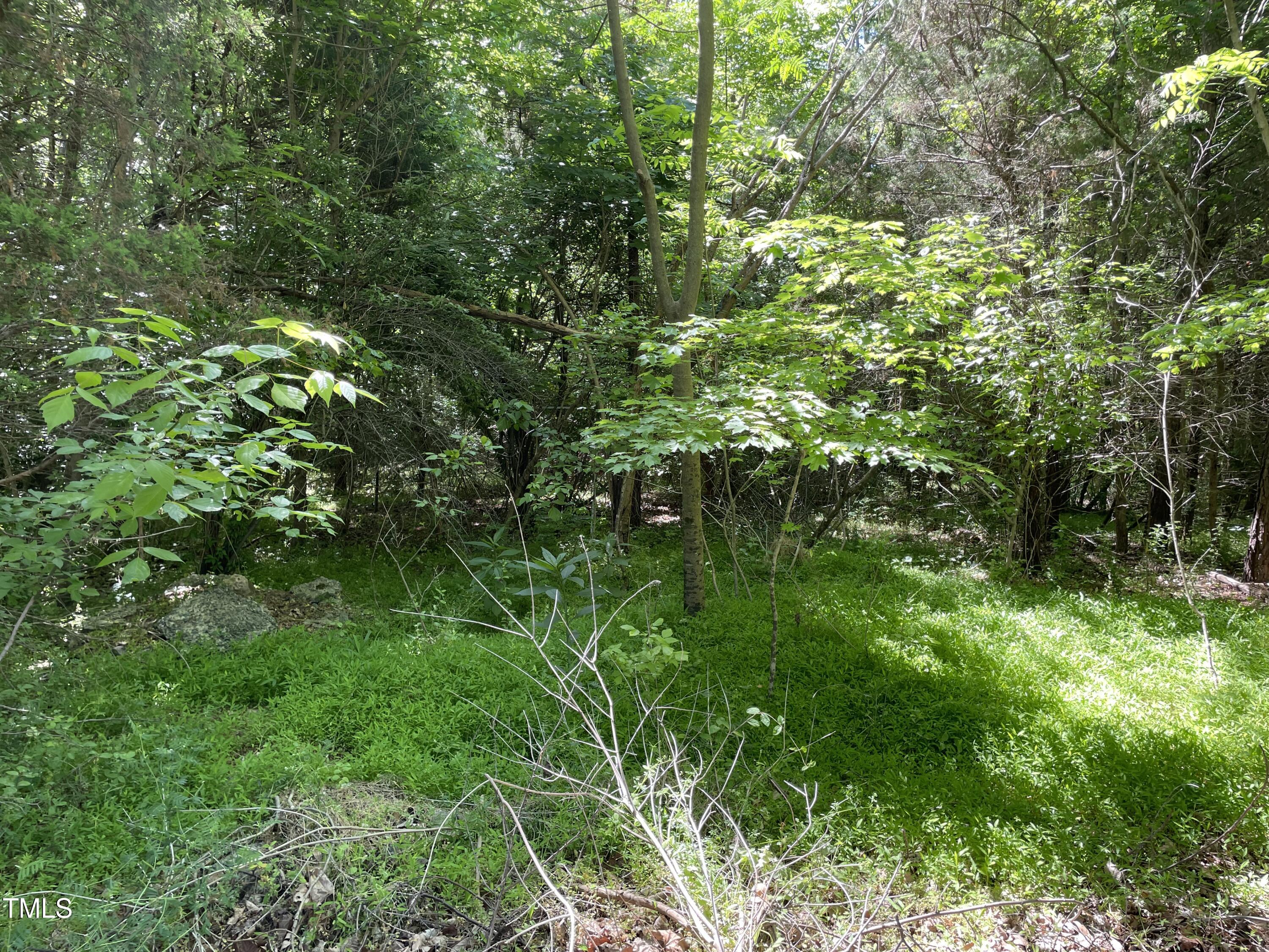 0 Thompson Mill Road Property Photo 15