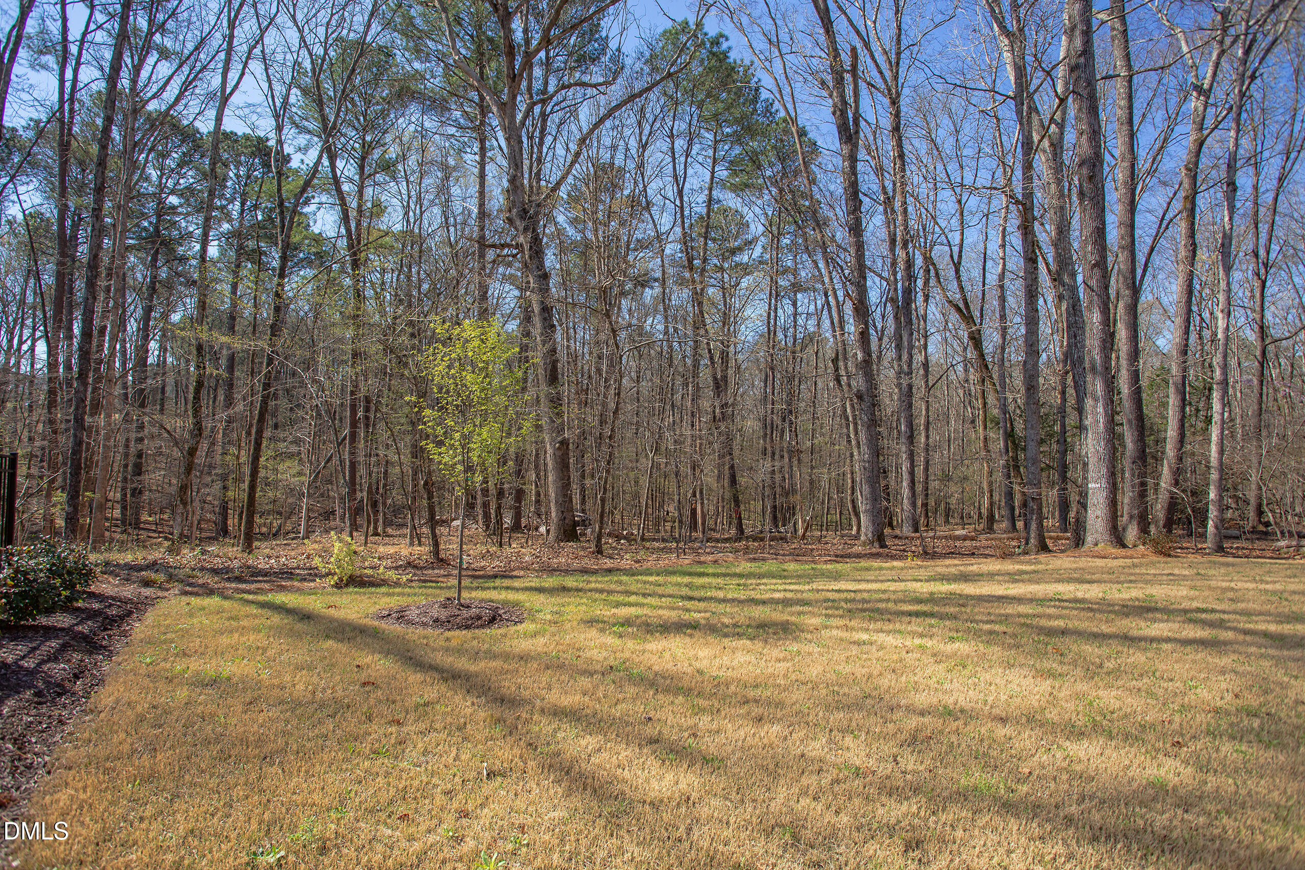1028 Whitehall Circle Property Photo 48