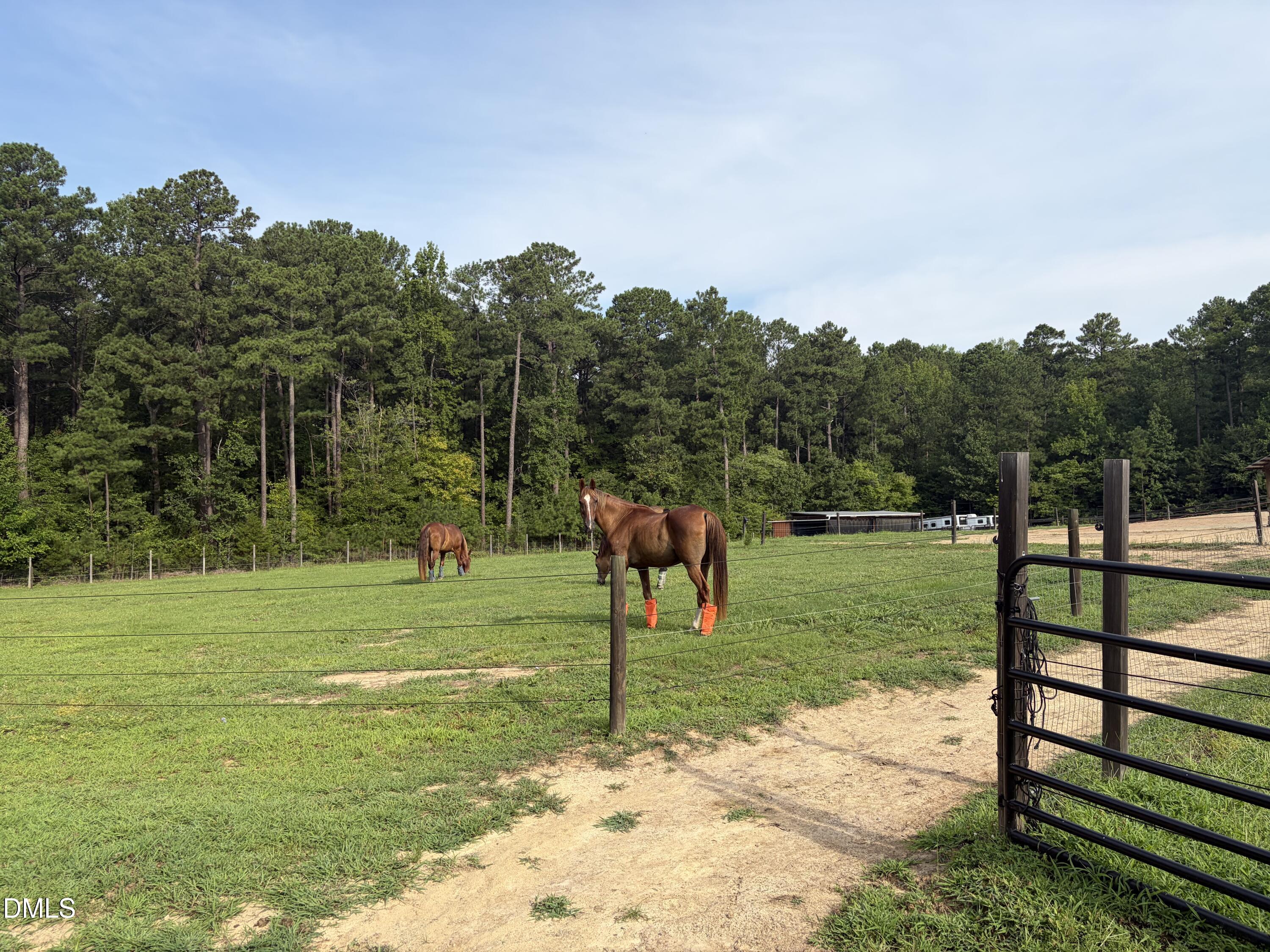 275 Hickory Trace Lane Property Photo 46