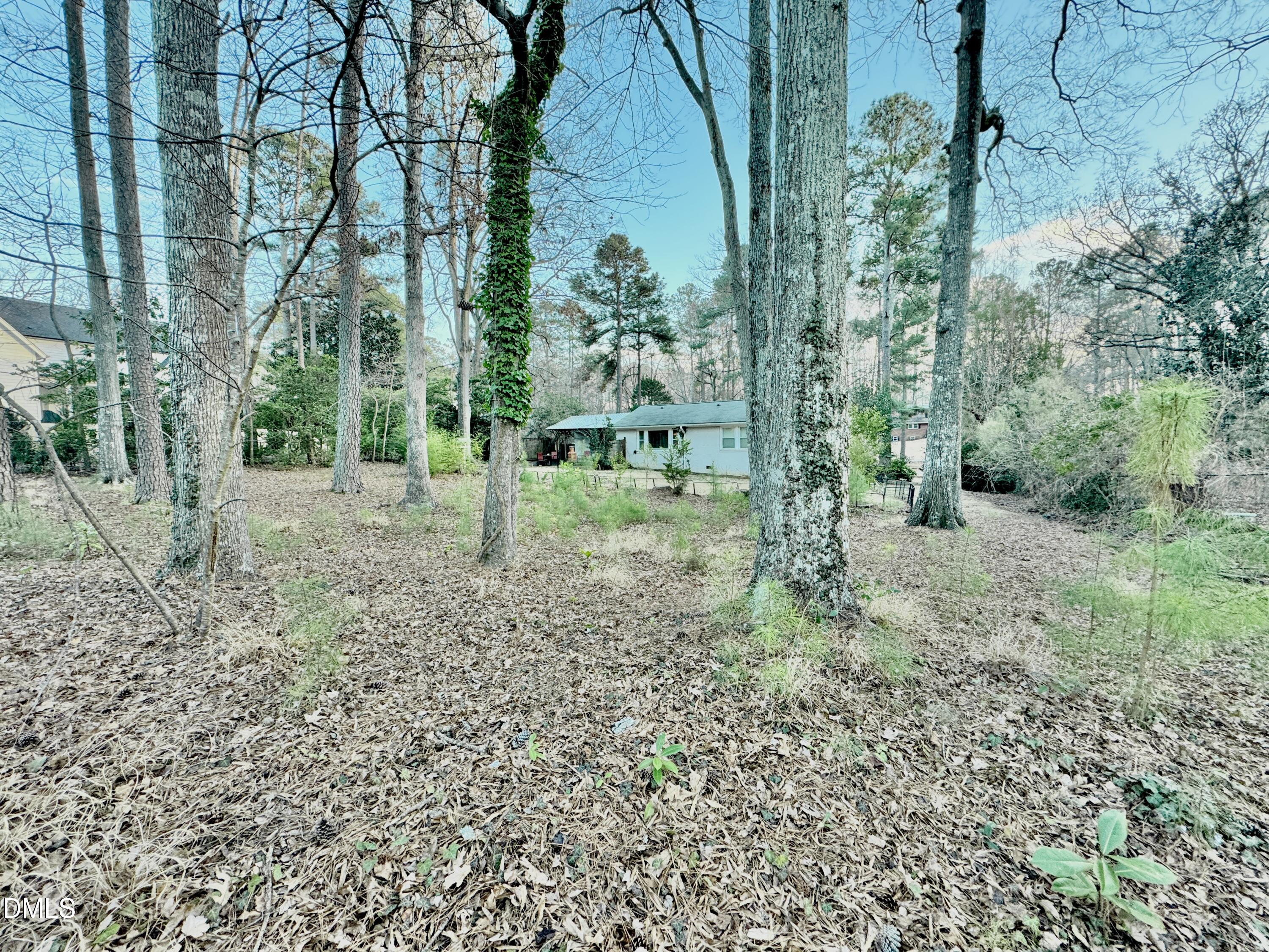 408 Marjorie Drive Property Photo 17