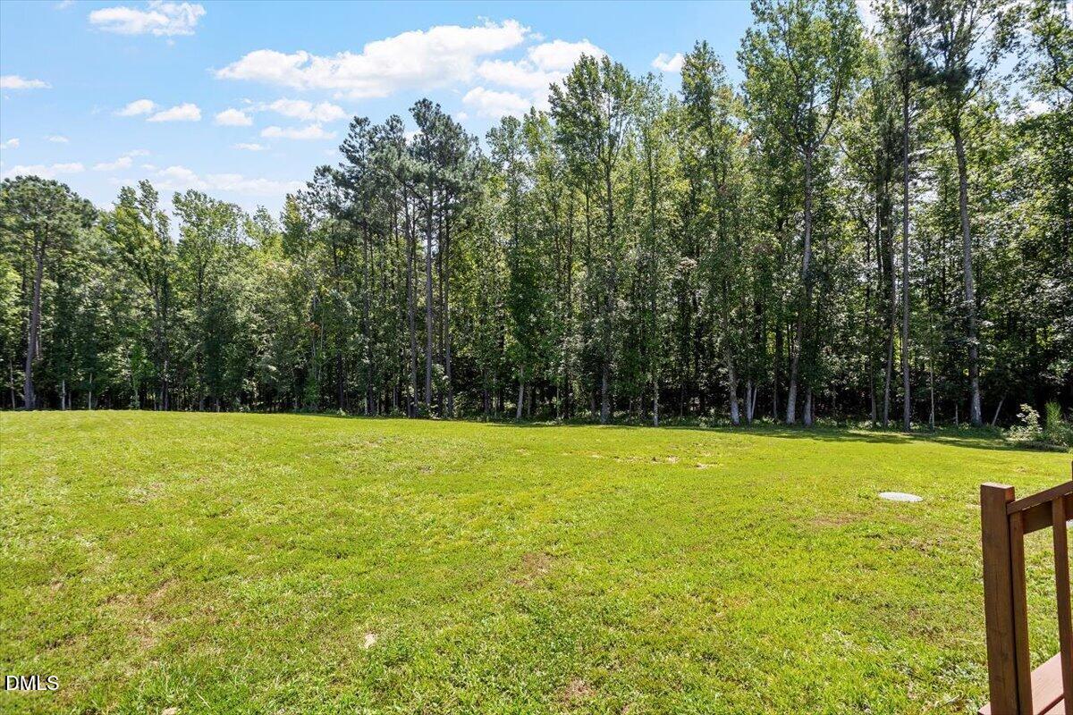 174 Split Rock Way Property Photo 4