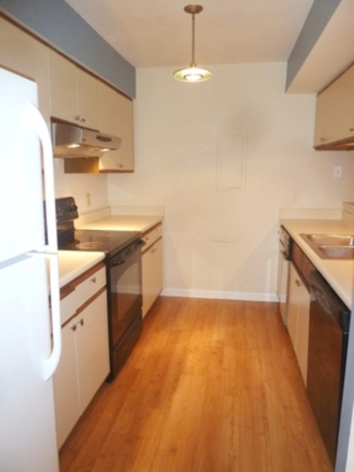 254 Brookberry Circle Property Photo 6