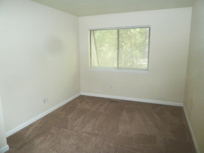 254 Brookberry Circle Property Photo 17