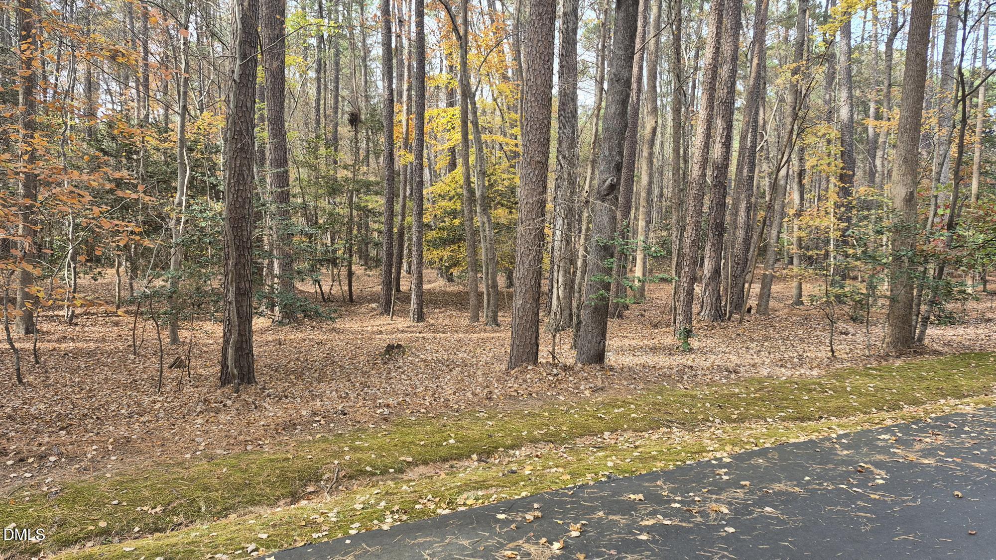 5209 Ginger Trail Property Photo 5