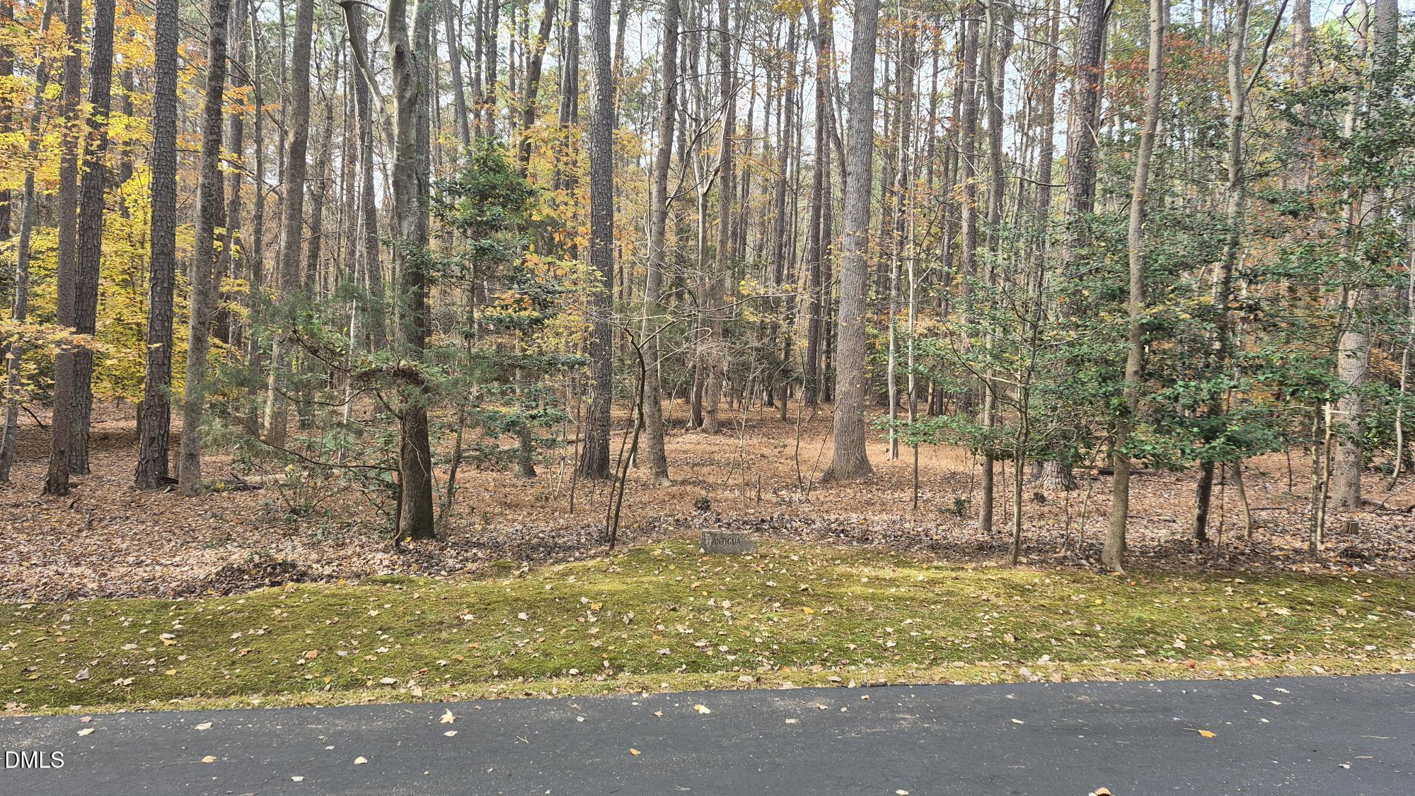 5209 Ginger Trail Property Photo 6