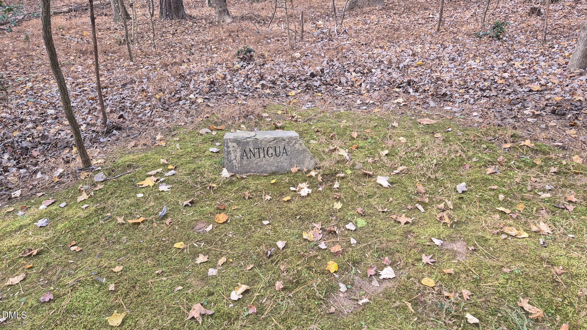 5209 Ginger Trail Property Photo 7