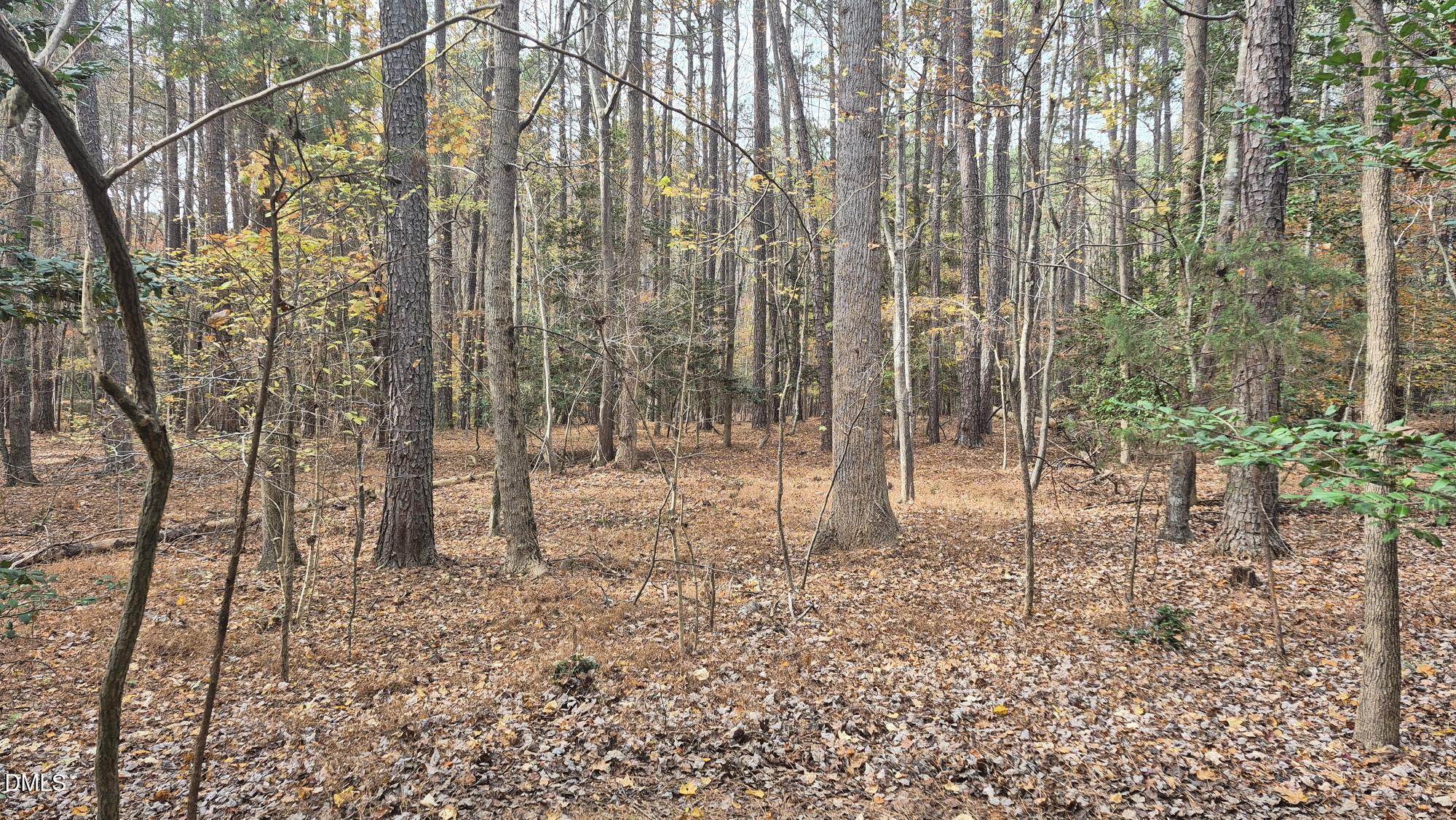 5209 Ginger Trail Property Photo 8