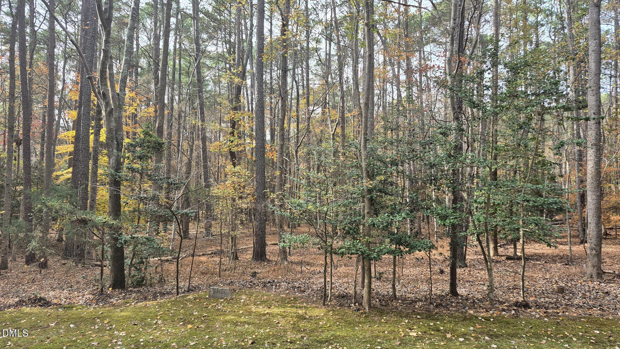 5209 Ginger Trail Property Photo 9