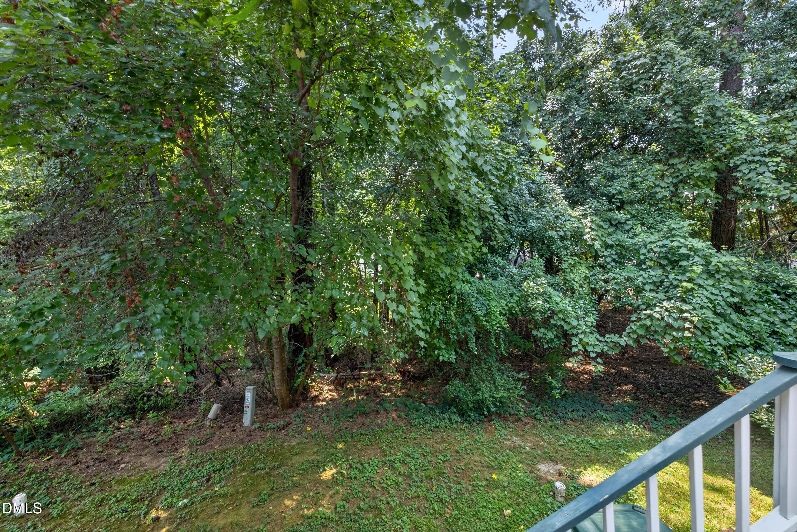 118 Greenmont Lane Property Photo 43