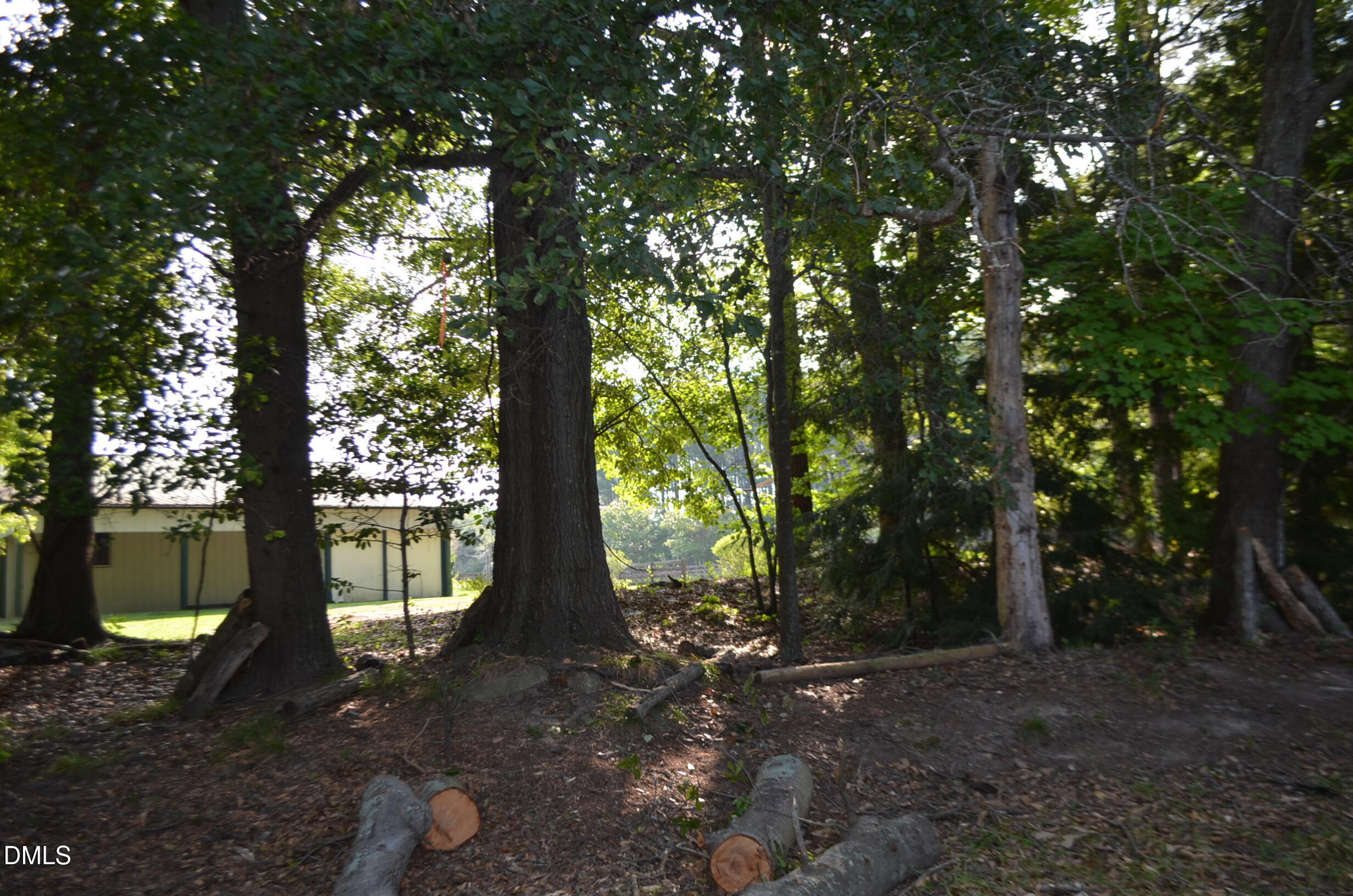 1212 Happy Hunting Hills Drive Property Photo 9