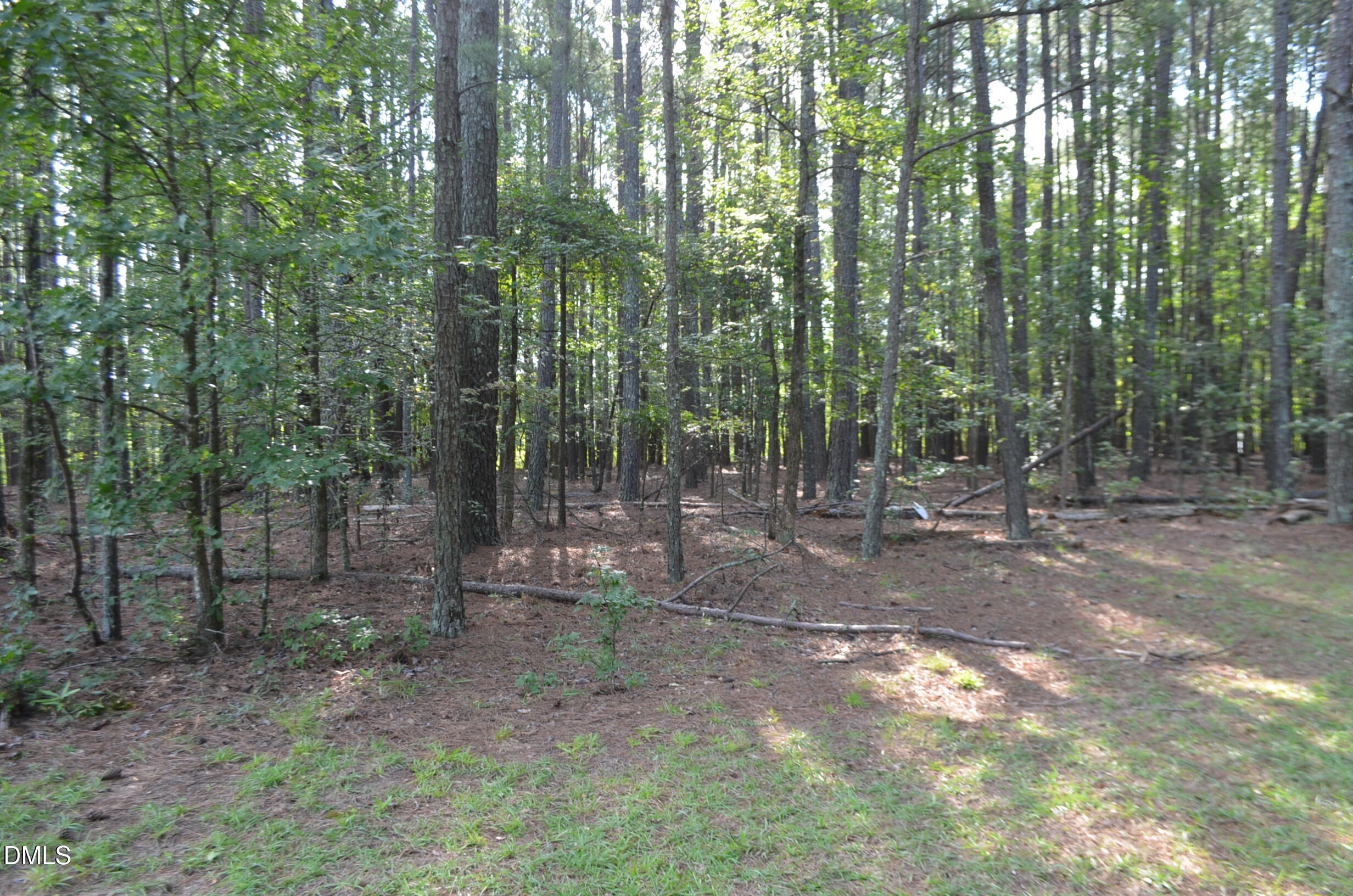 1212 Happy Hunting Hills Drive Property Photo 41