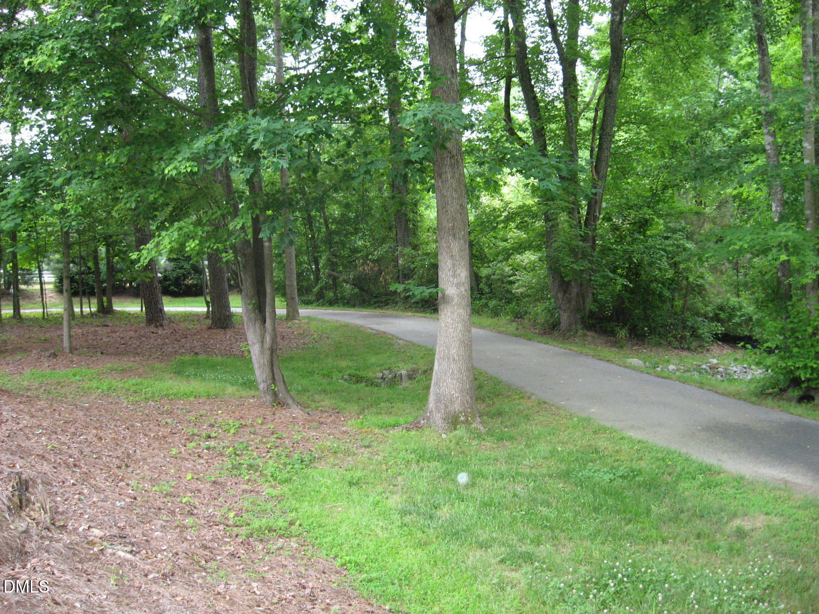 1203 Fairfax Woods Drive Property Photo 56