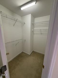 1117 Bungalow Park Drive Property Photo 9