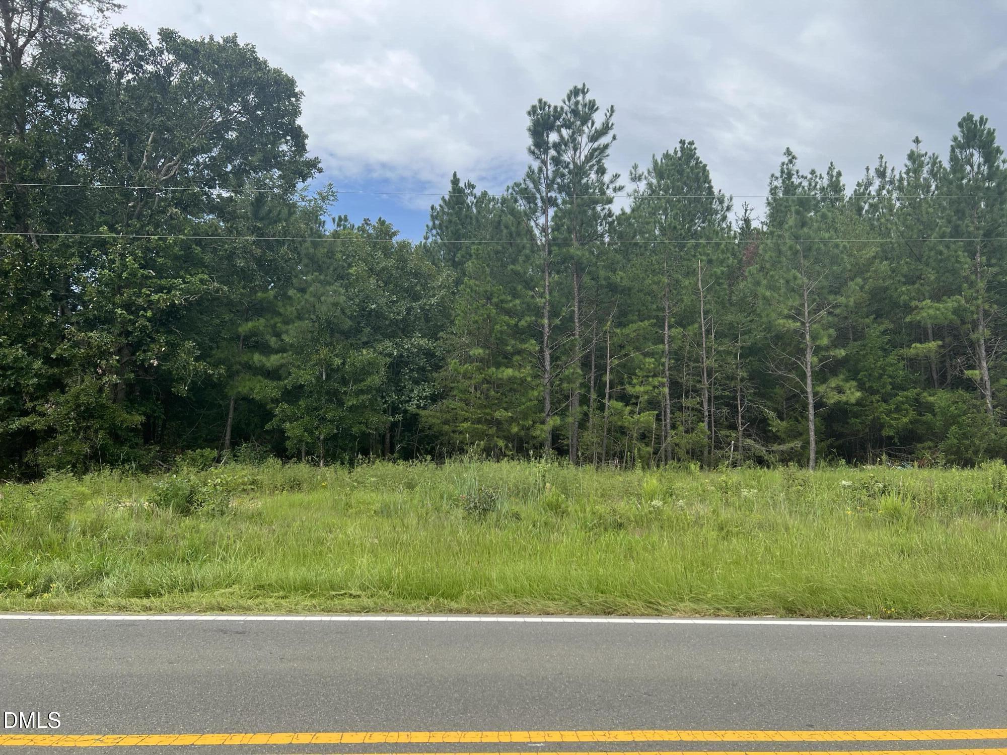 0 Highway 49 Property Photo 3