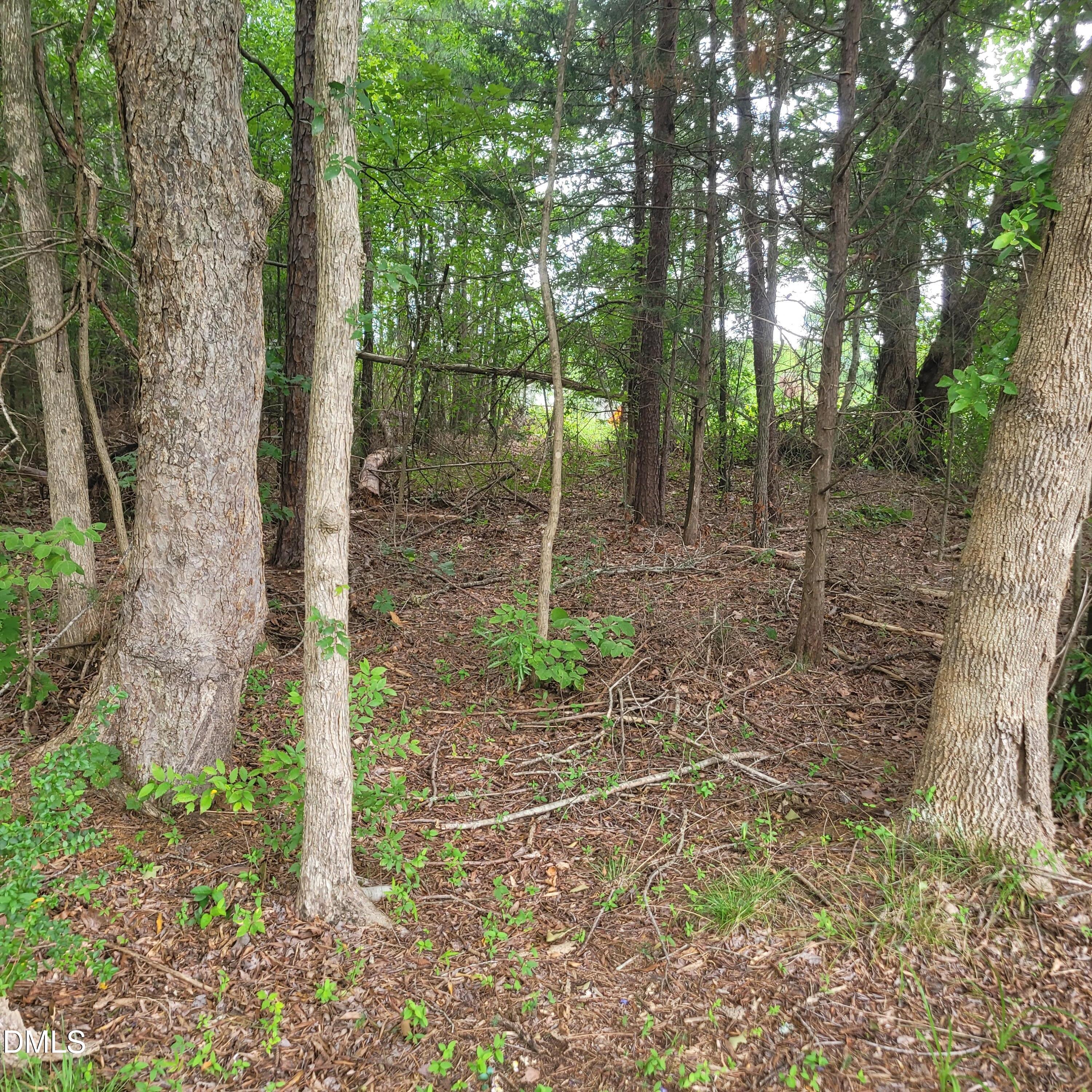 0 Highway 49 Property Photo 7