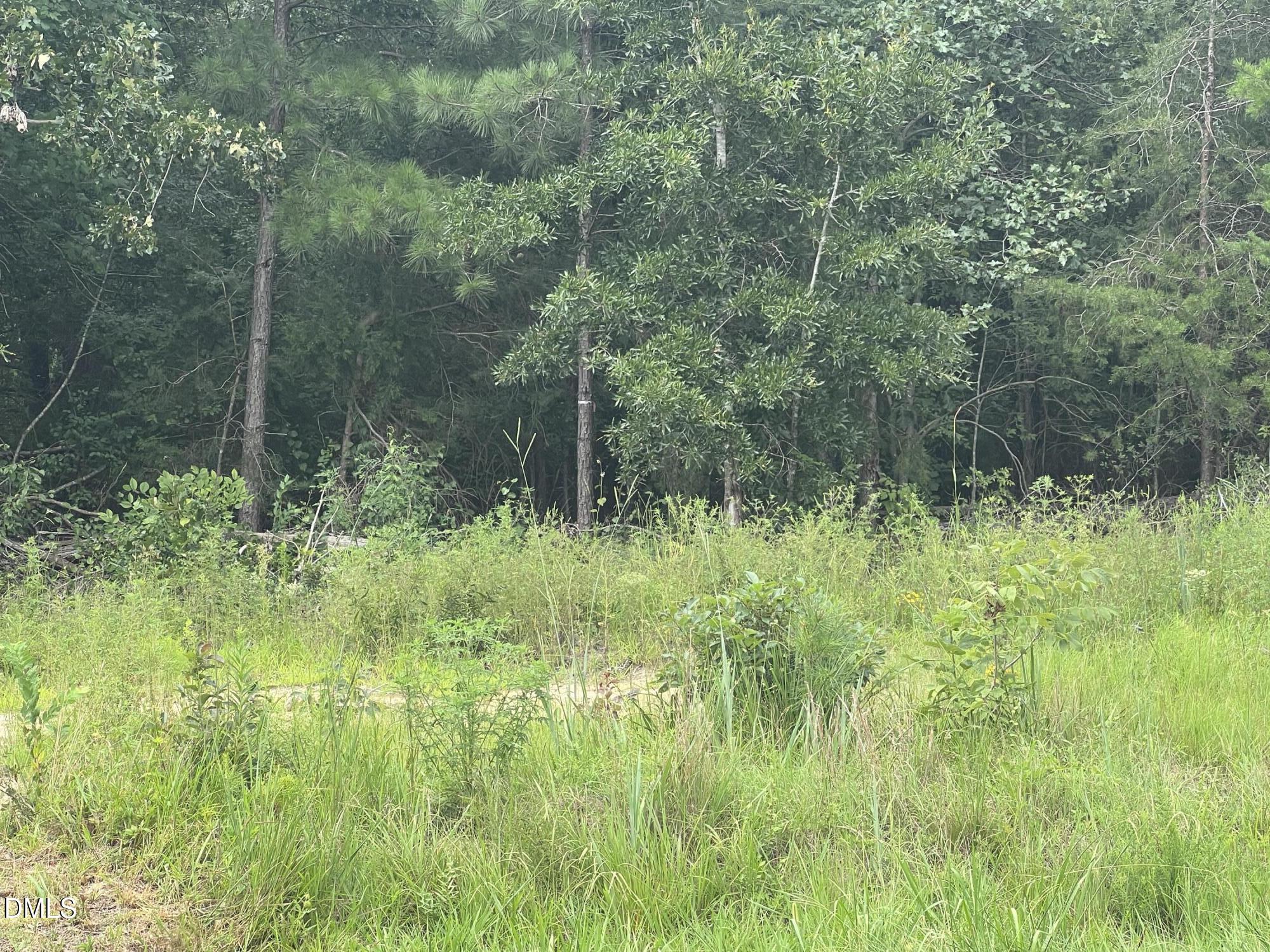 0 Highway 49 Property Photo 8