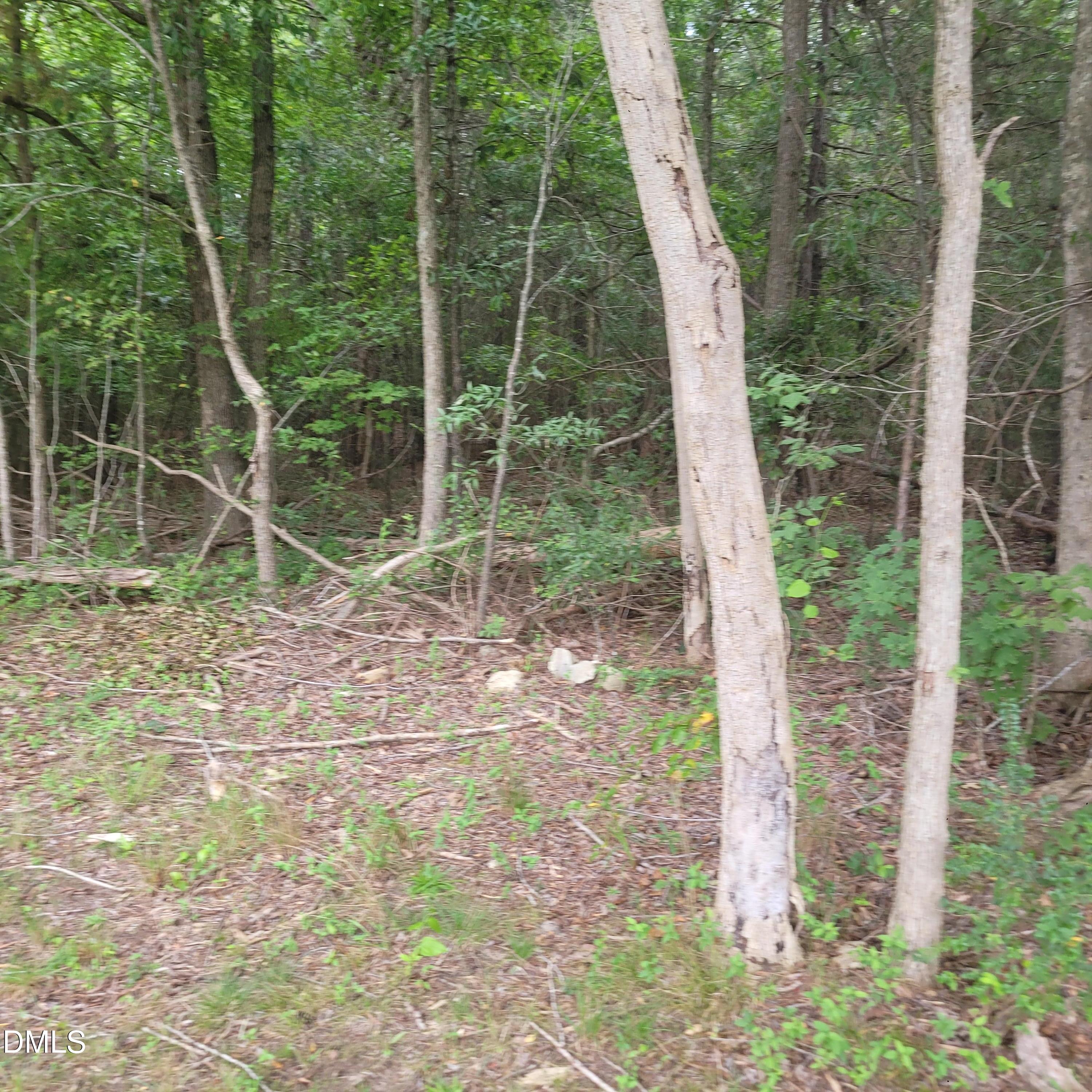 0 Highway 49 Property Photo 9