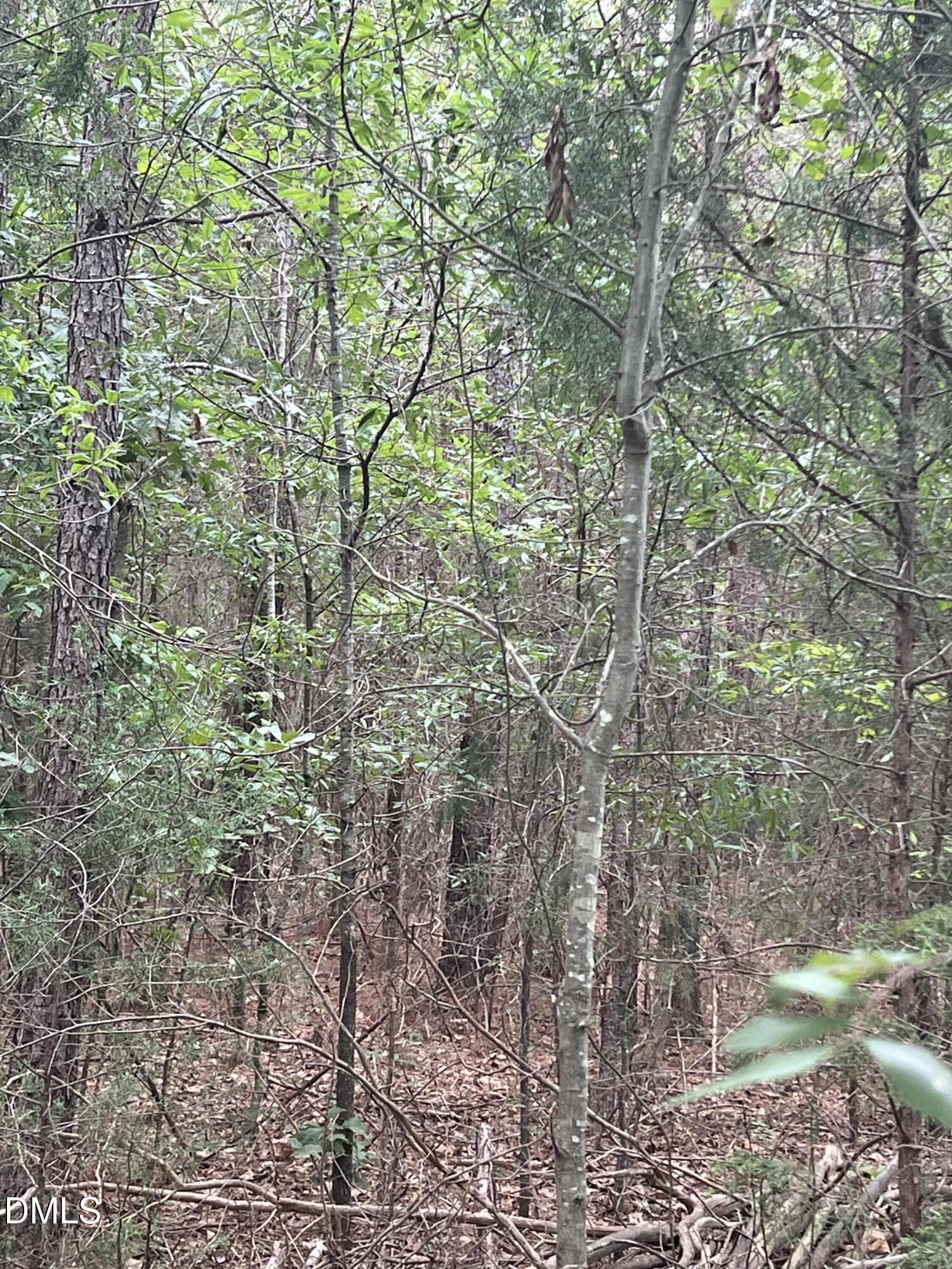 0 Highway 49 Property Photo 11