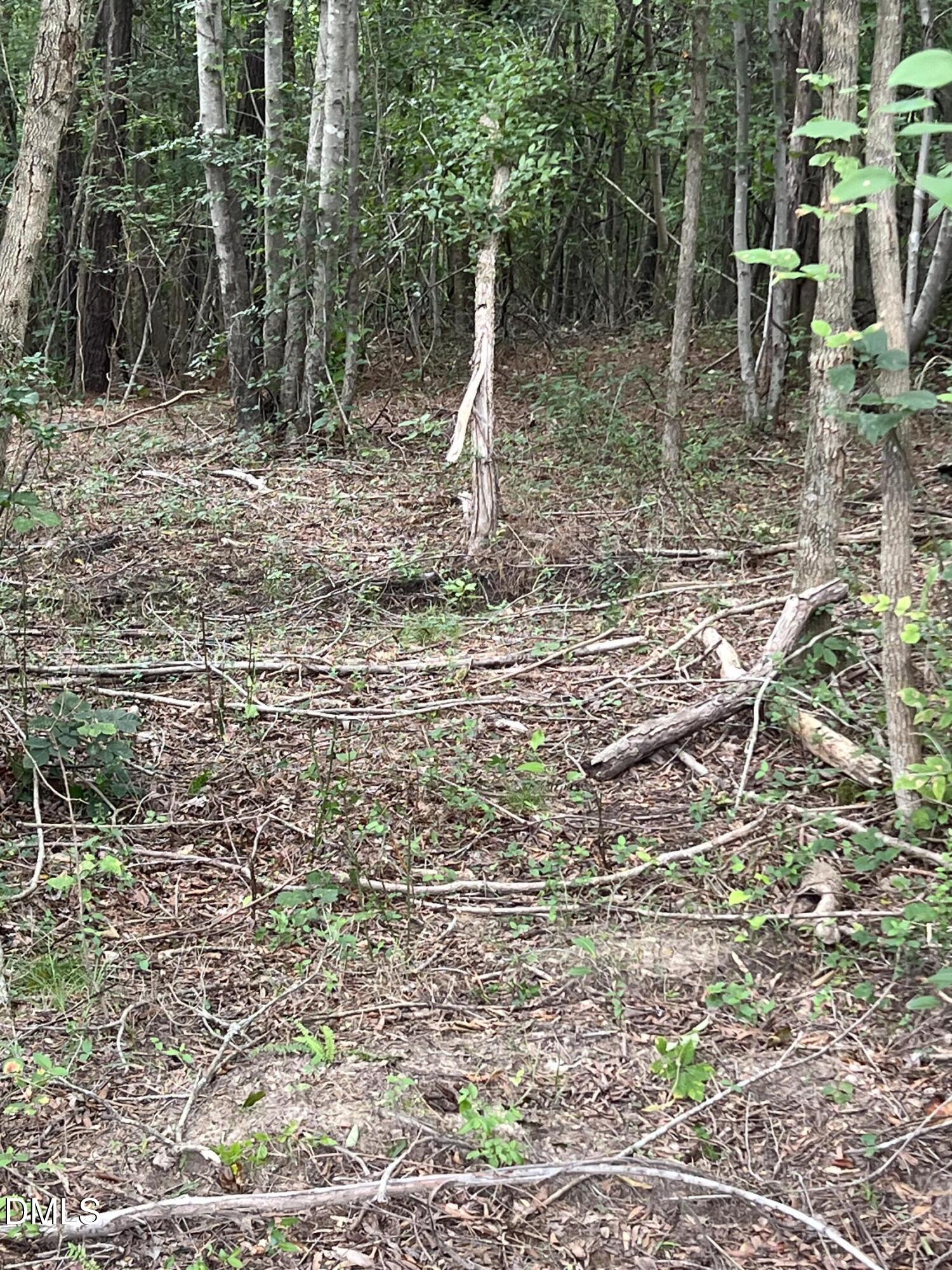 0 Highway 49 Property Photo 13