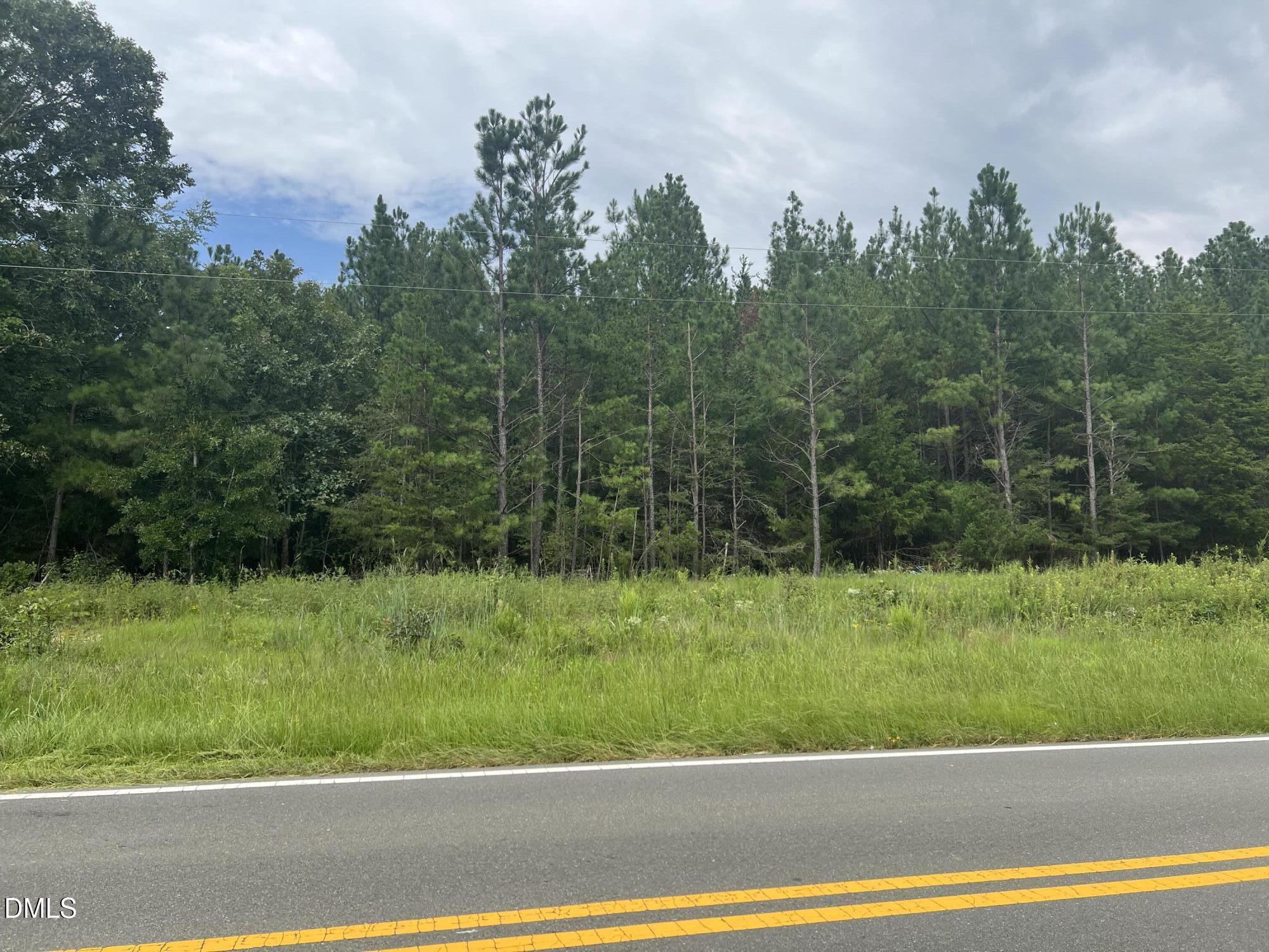 0 Highway 49 Property Photo 14