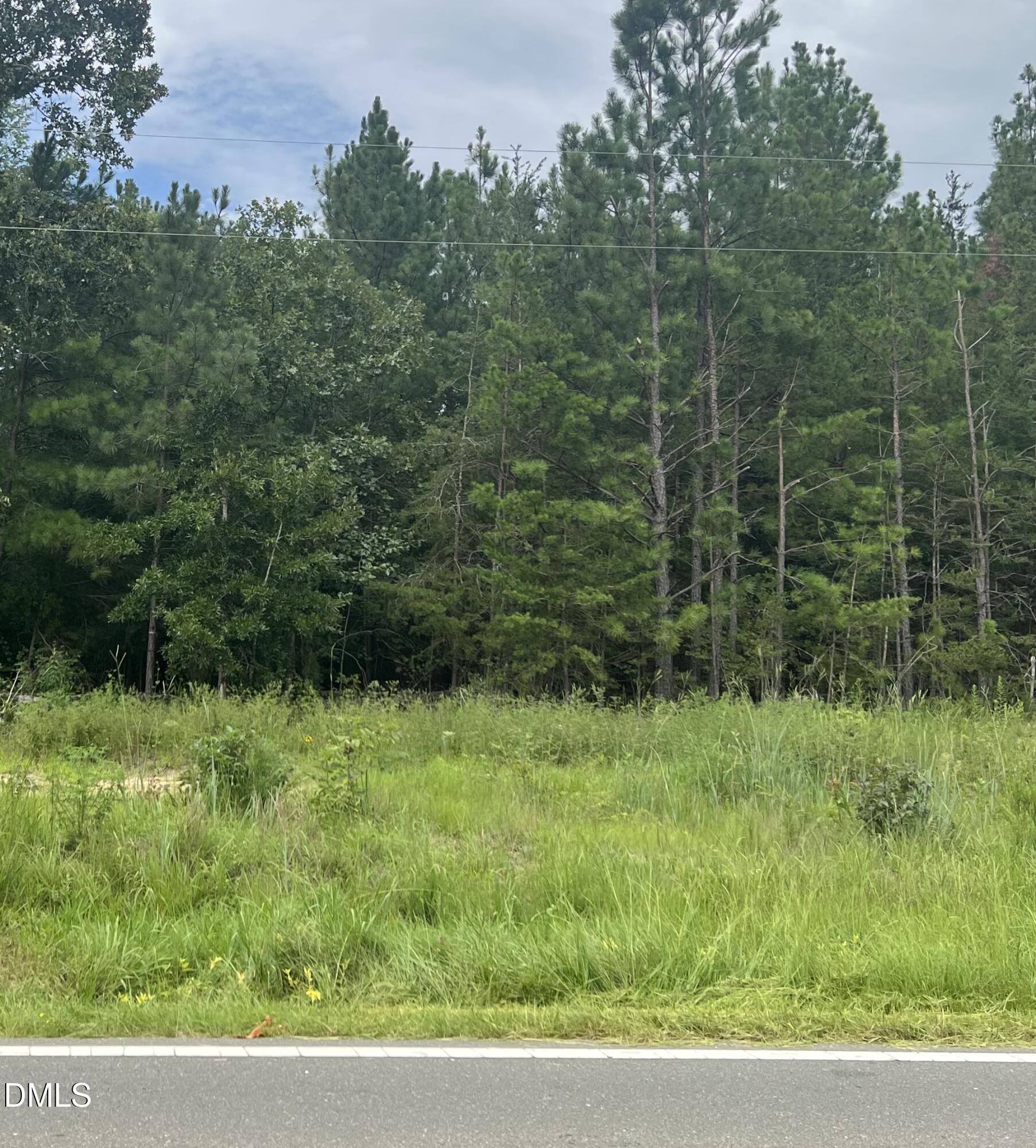 0 Highway 49 Property Photo 15