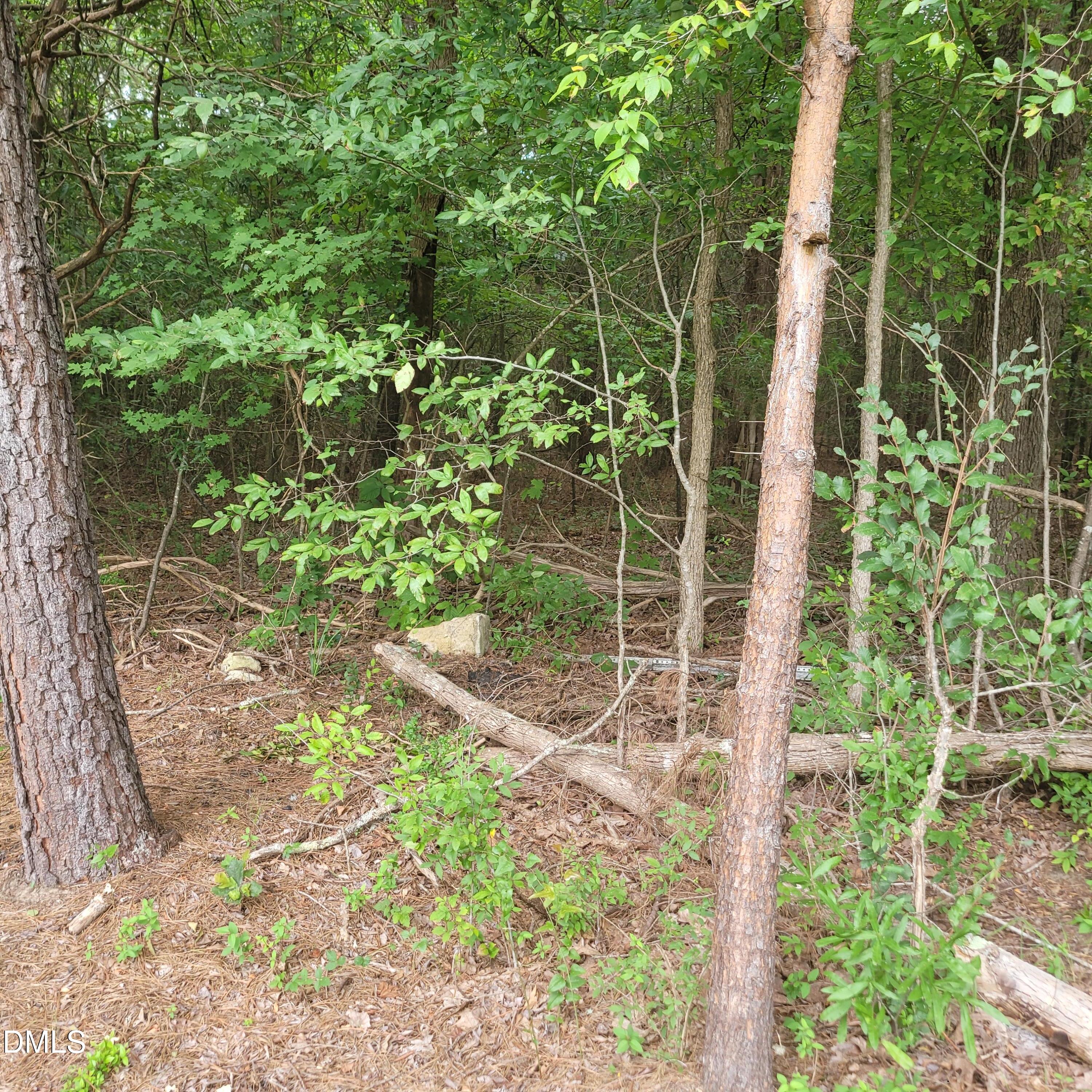0 Highway 49 Property Photo 16