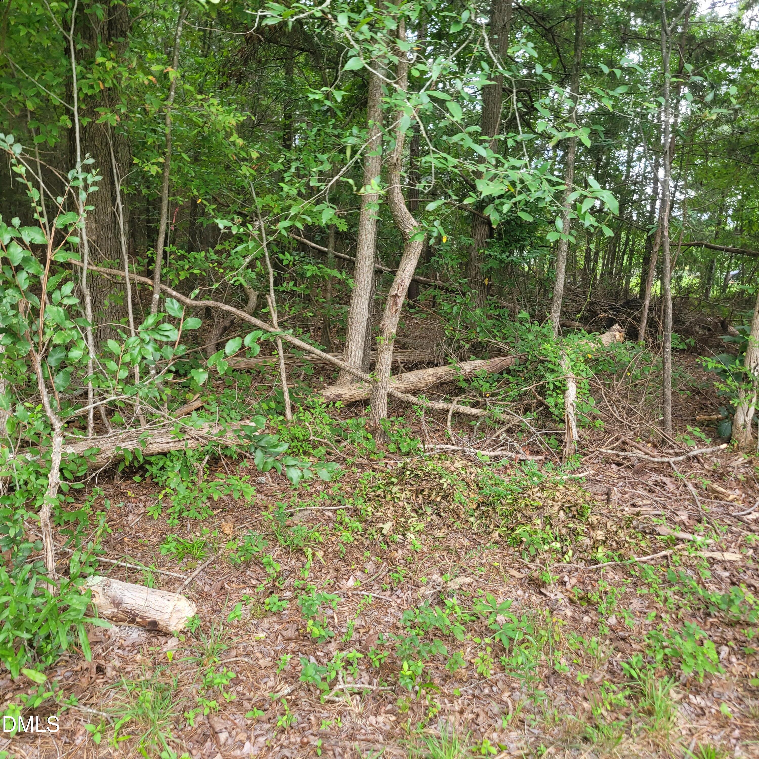 0 Highway 49 Property Photo 17