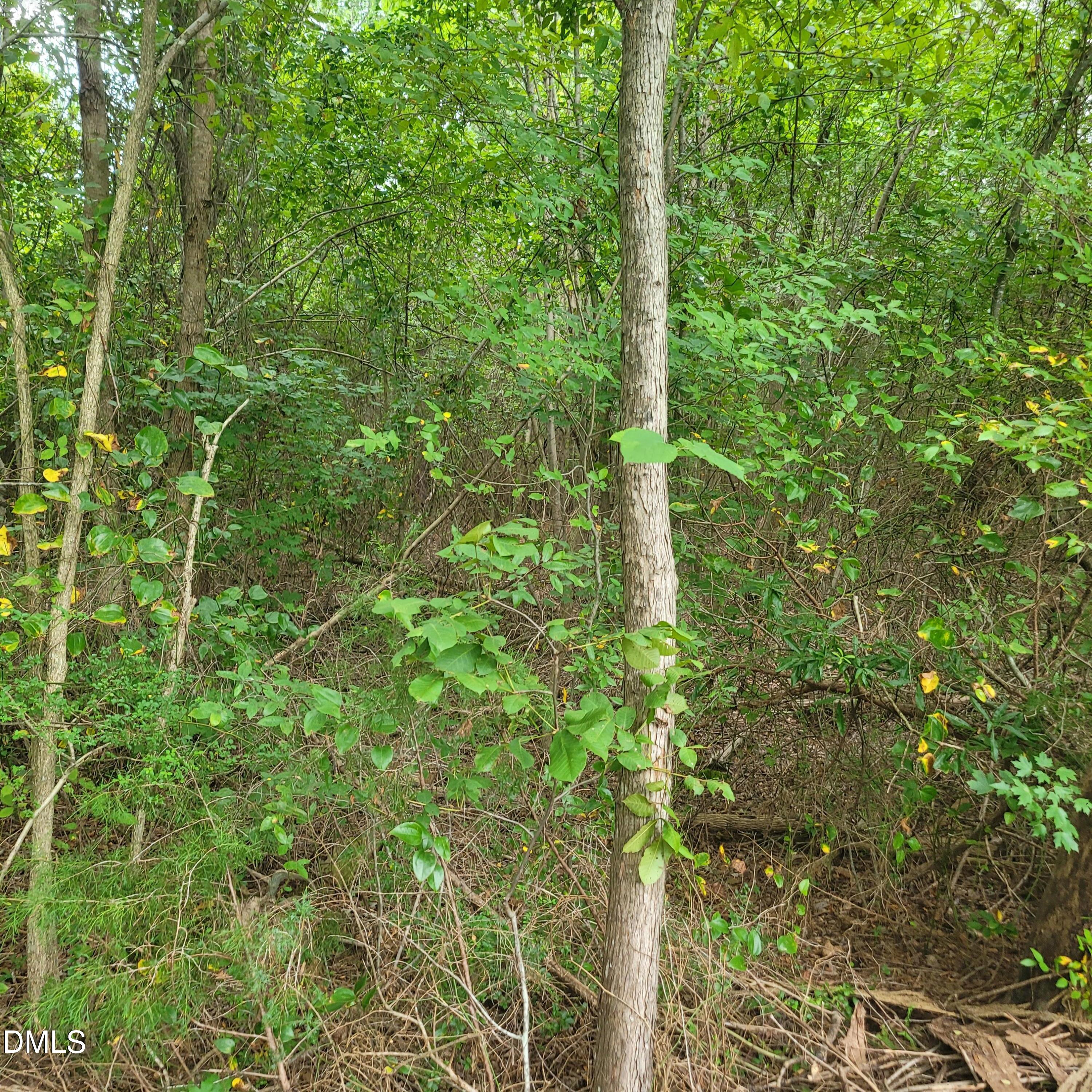 0 Highway 49 Property Photo 18