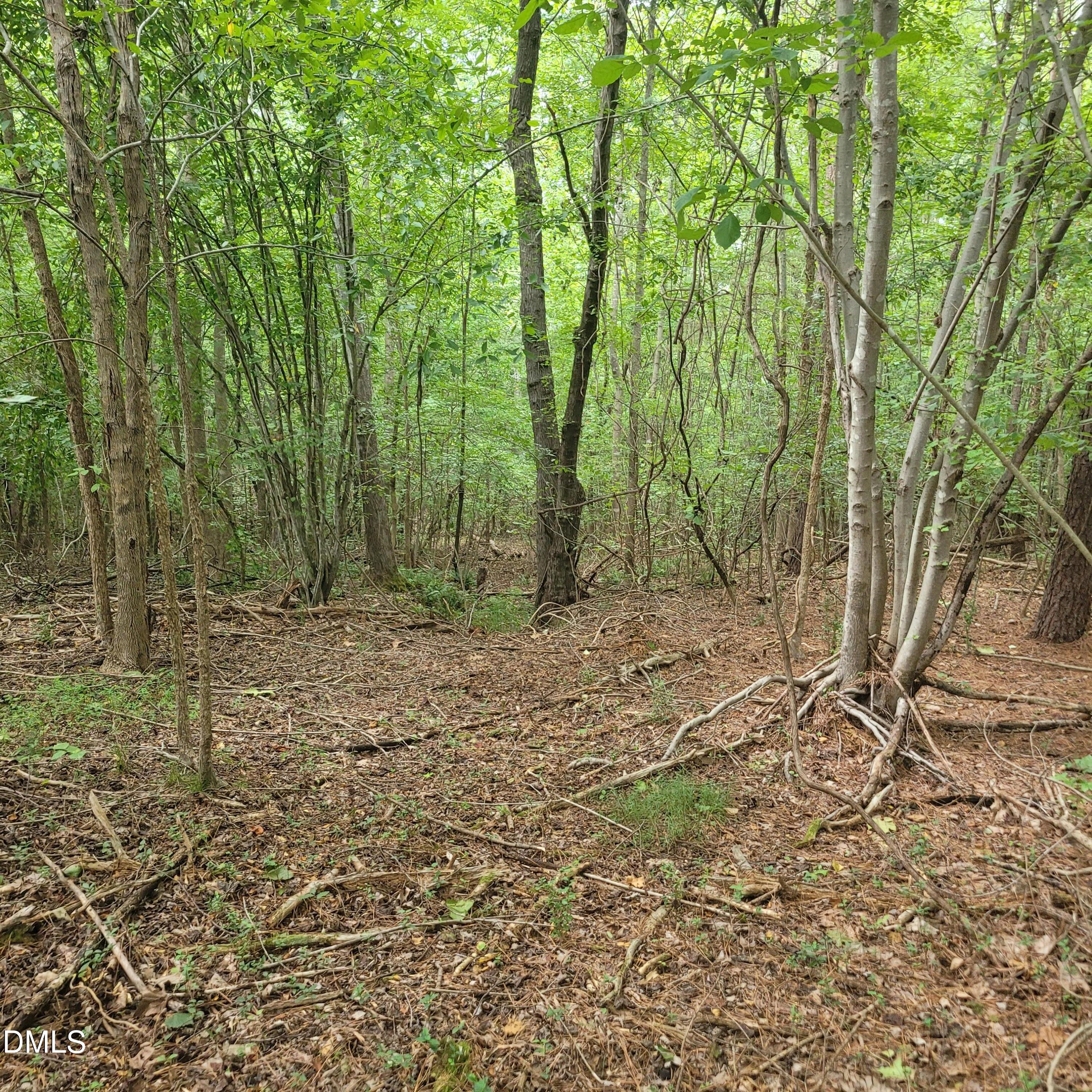 0 Highway 49 Property Photo 19