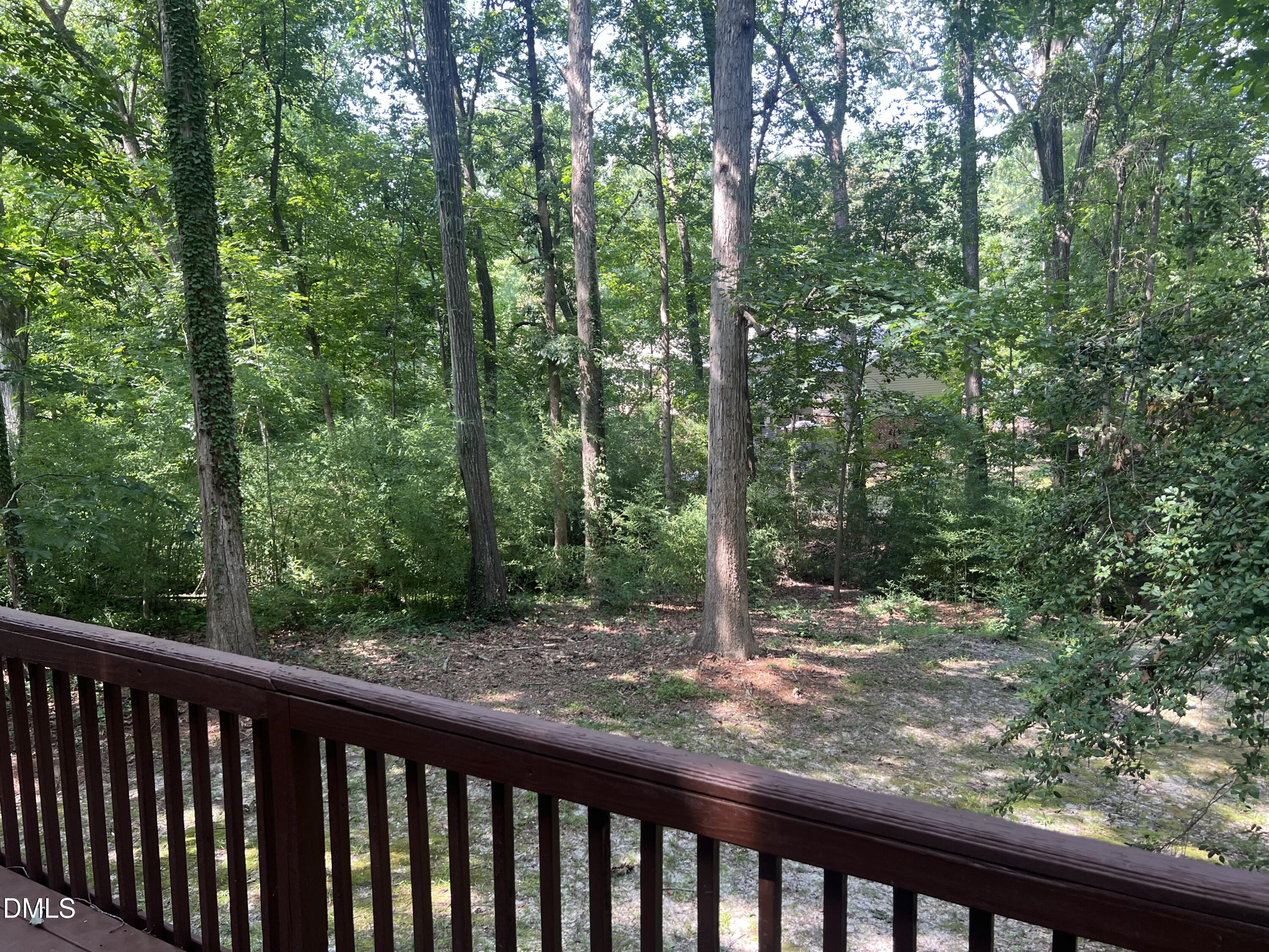 8217 Clear Brook Drive Property Photo 59