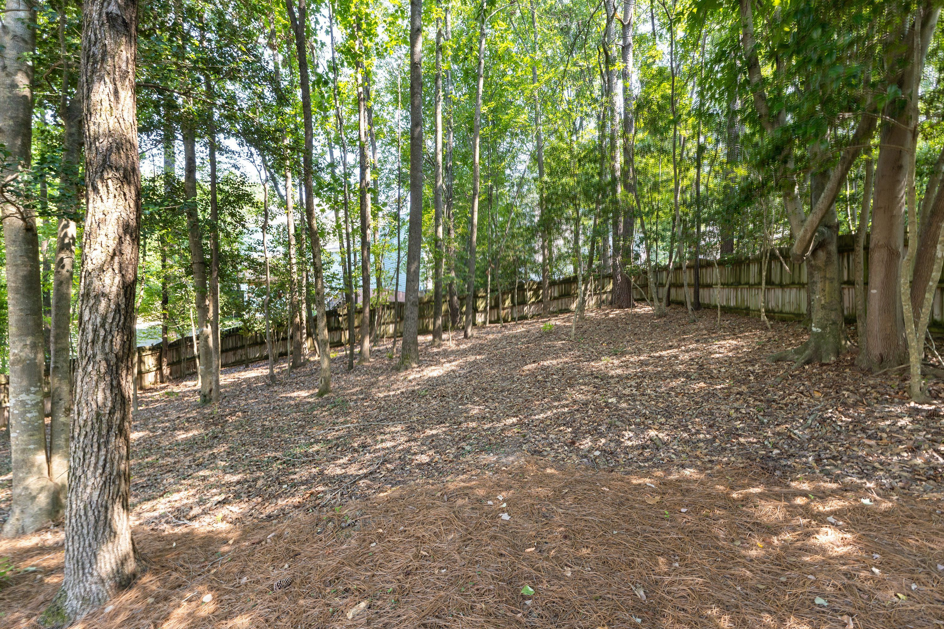 2920 Creek Moss Avenue Property Photo 33