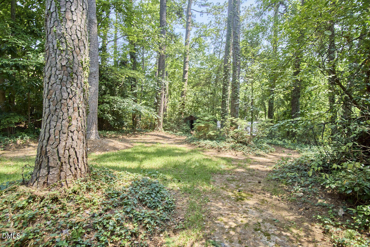 3409 Cherry Lane Property Photo 35