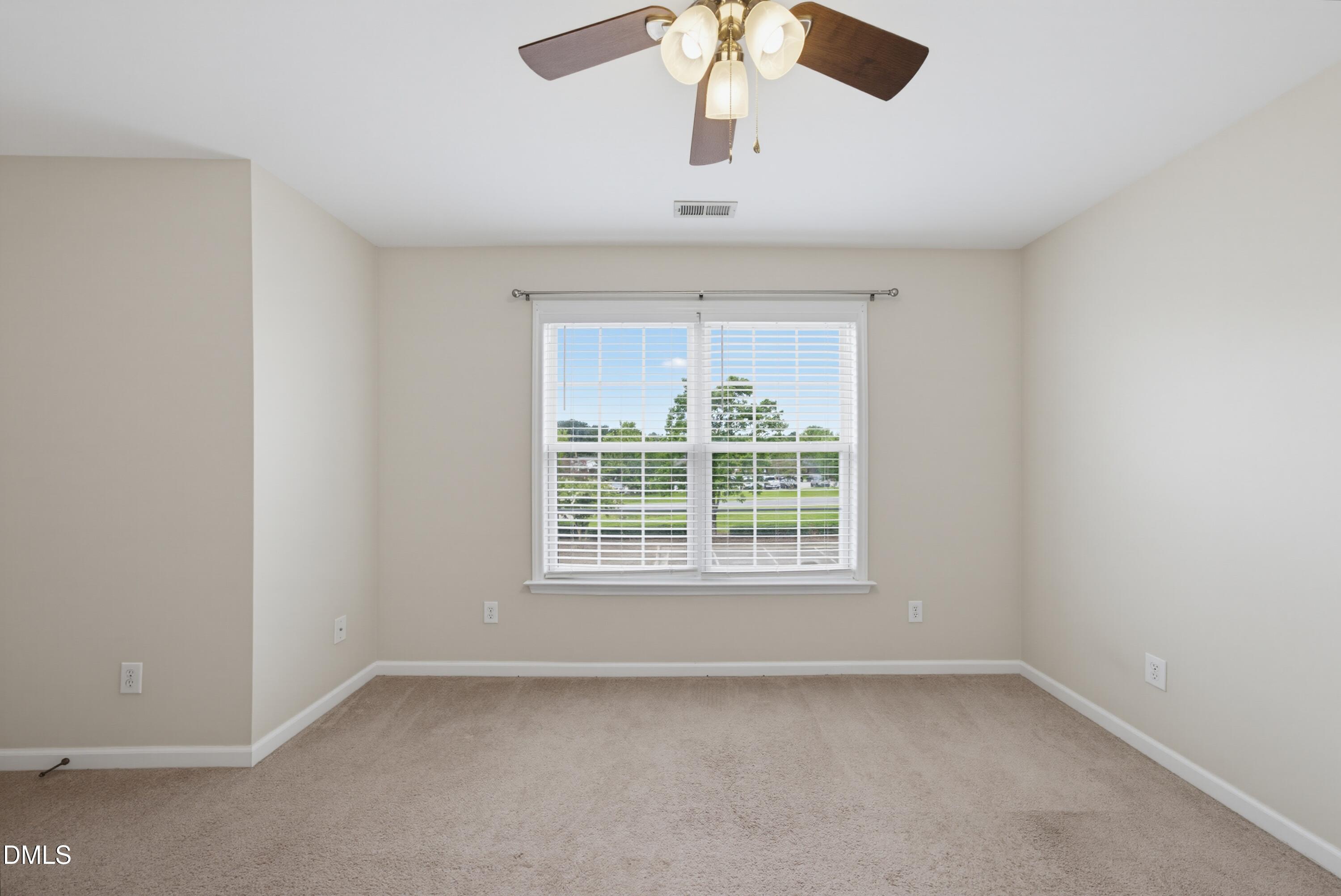 217 Dairy Road Property Photo 19
