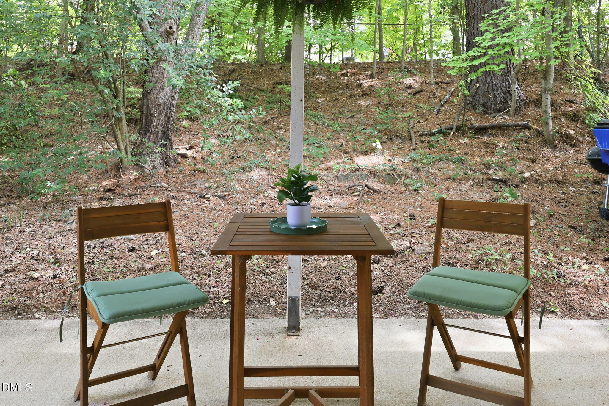 2107 Dandridge Drive Property Photo 31