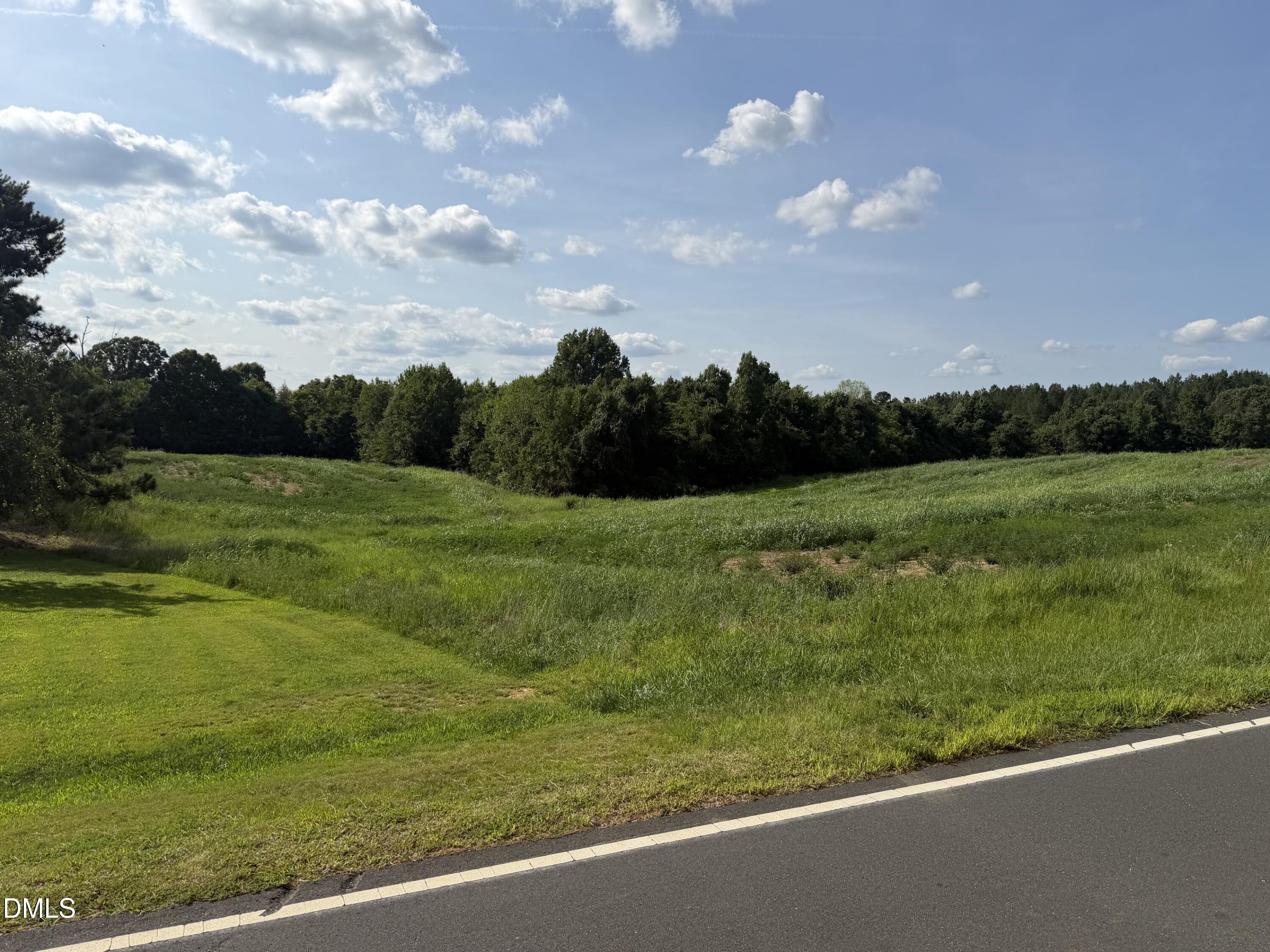 8585 Dirgie Mine Road Property Photo 1