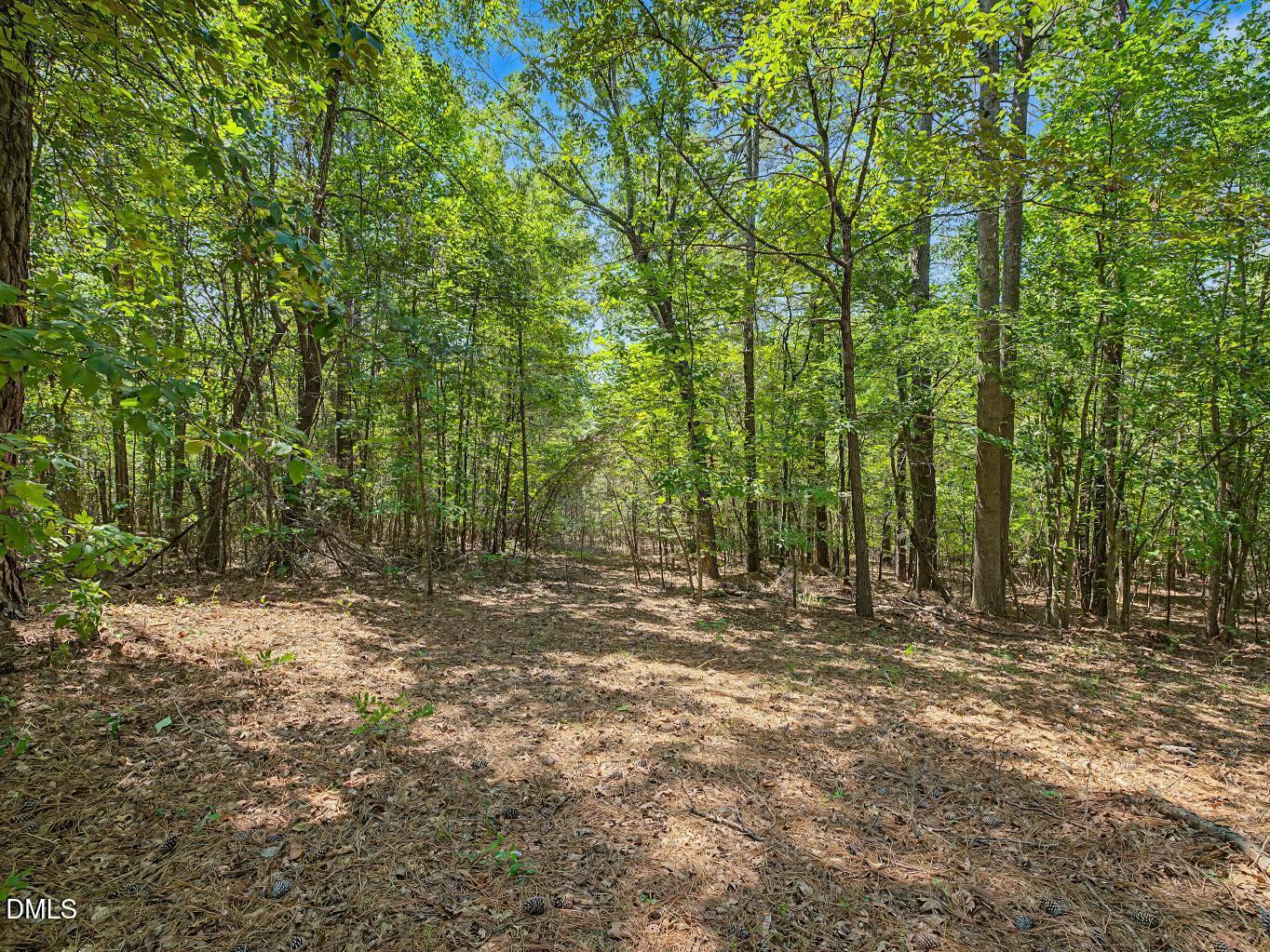 647 Chapel Ridge Drive Property Photo 72