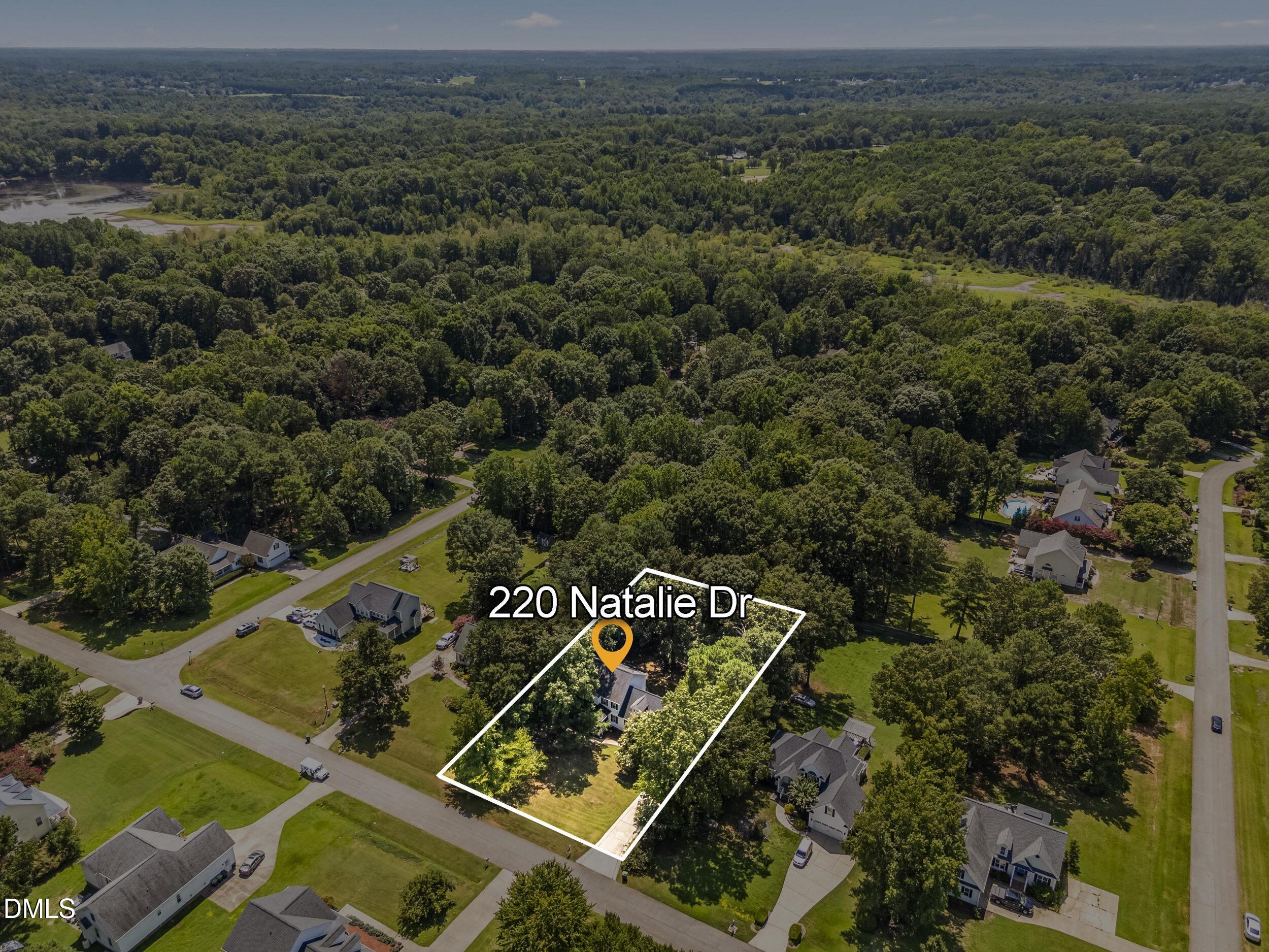 220 Natalie Drive Property Photo 45