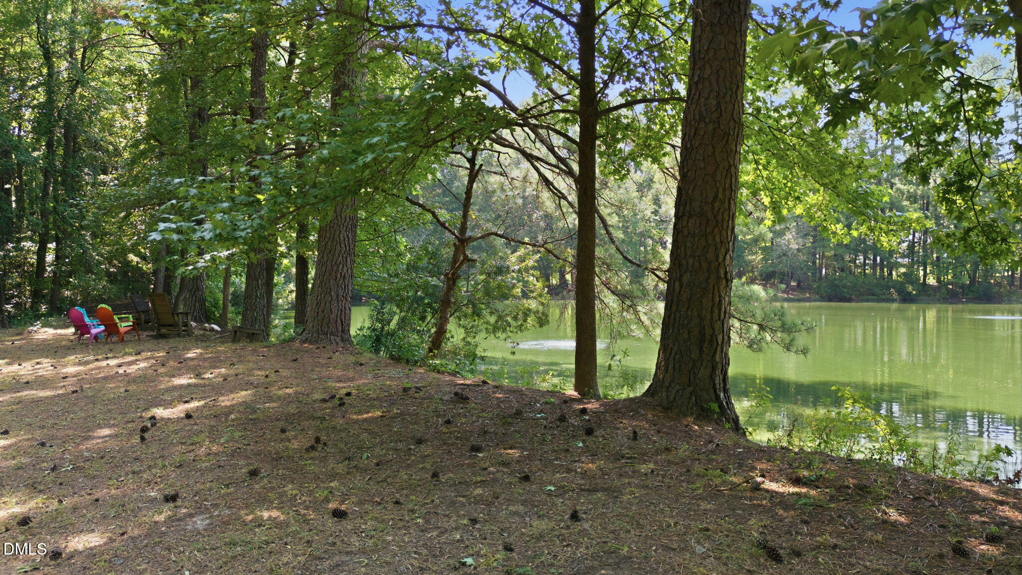 1020 Oakwater Drive Property Photo 28