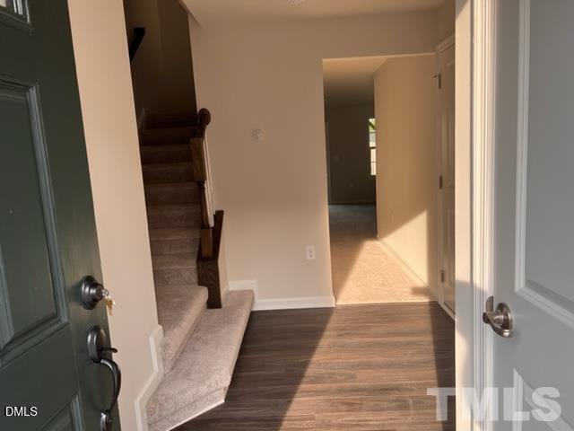 1009 Romeria Drive Property Photo 2