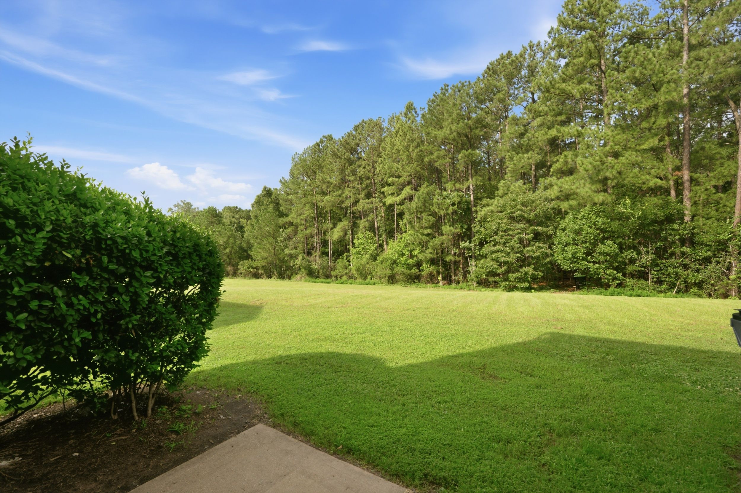 208 Walnut Woods Drive Property Photo 23