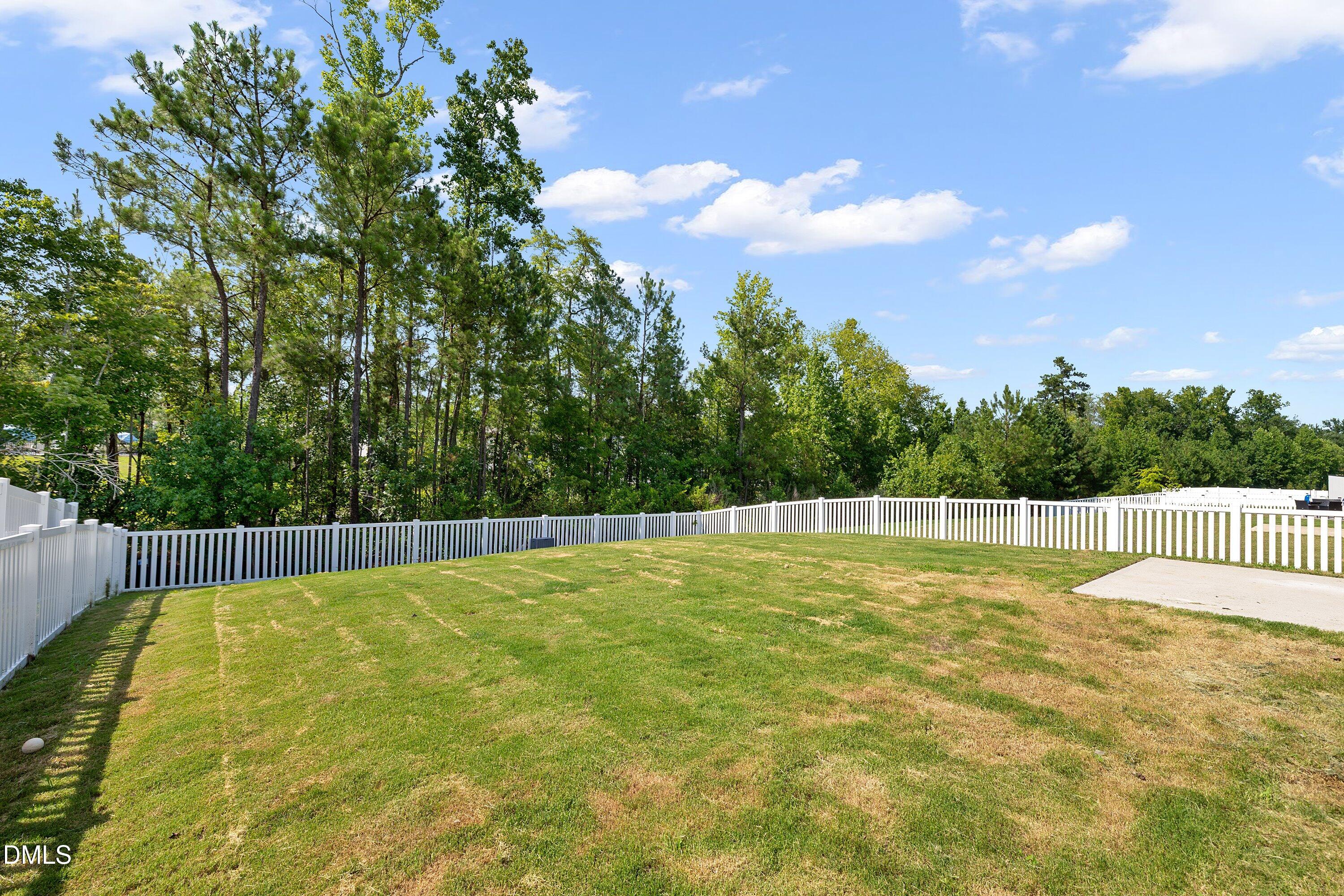 312 Golden Plum Lane Property Photo 40