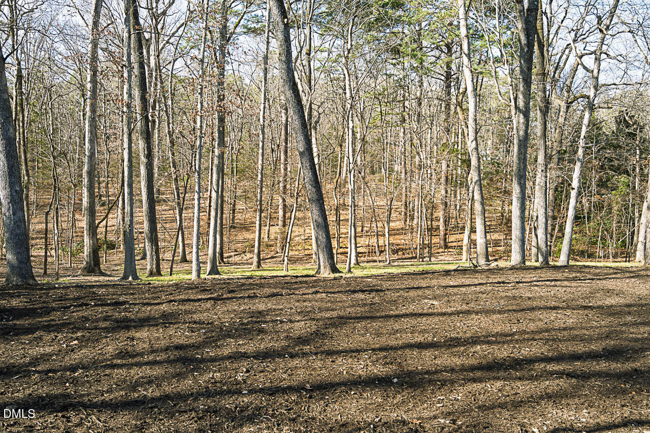 3946 Nottaway Road Property Photo 14