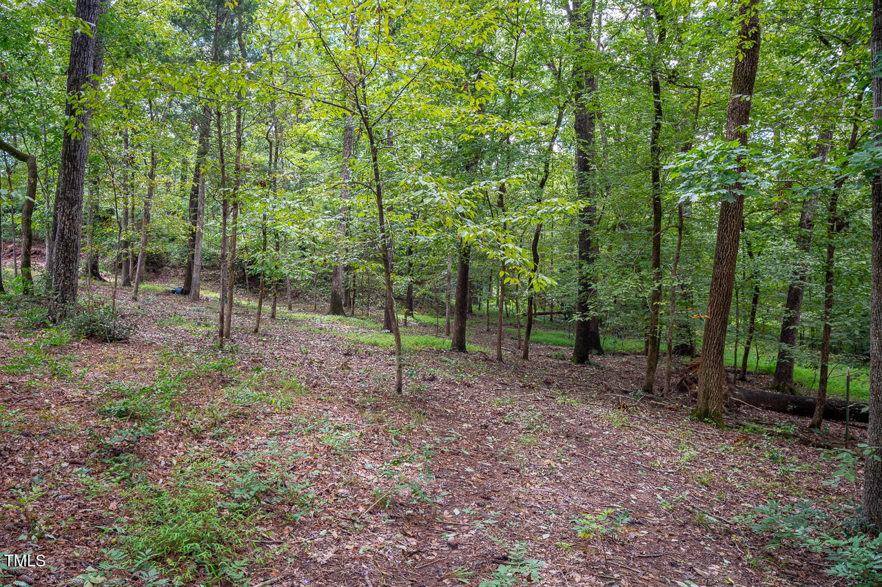 3946 Nottaway Road Property Photo 19