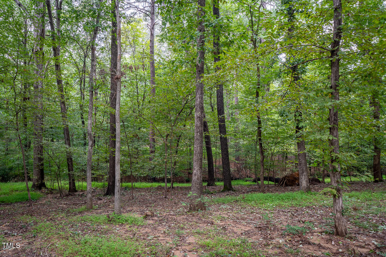 3946 Nottaway Road Property Photo 20