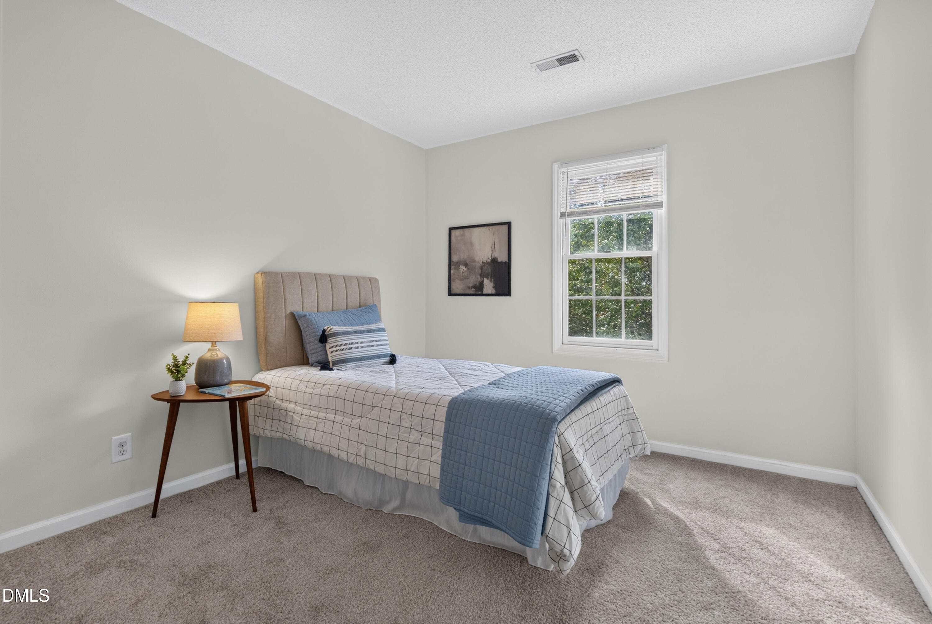 305 Mint Hill Drive Property Photo 19