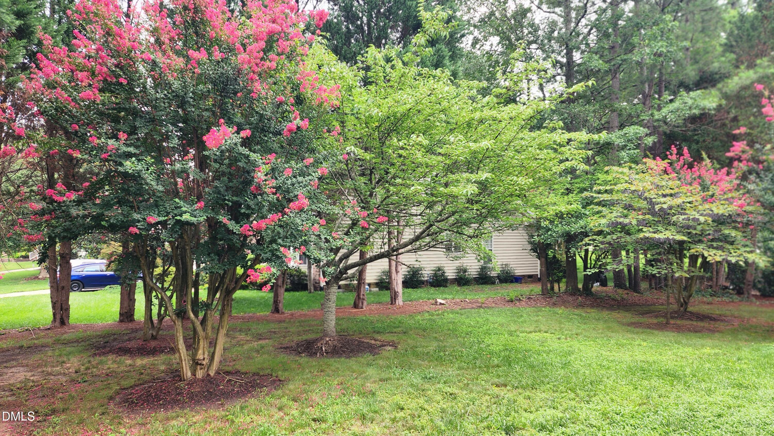 1 Haycox Court Property Photo 44