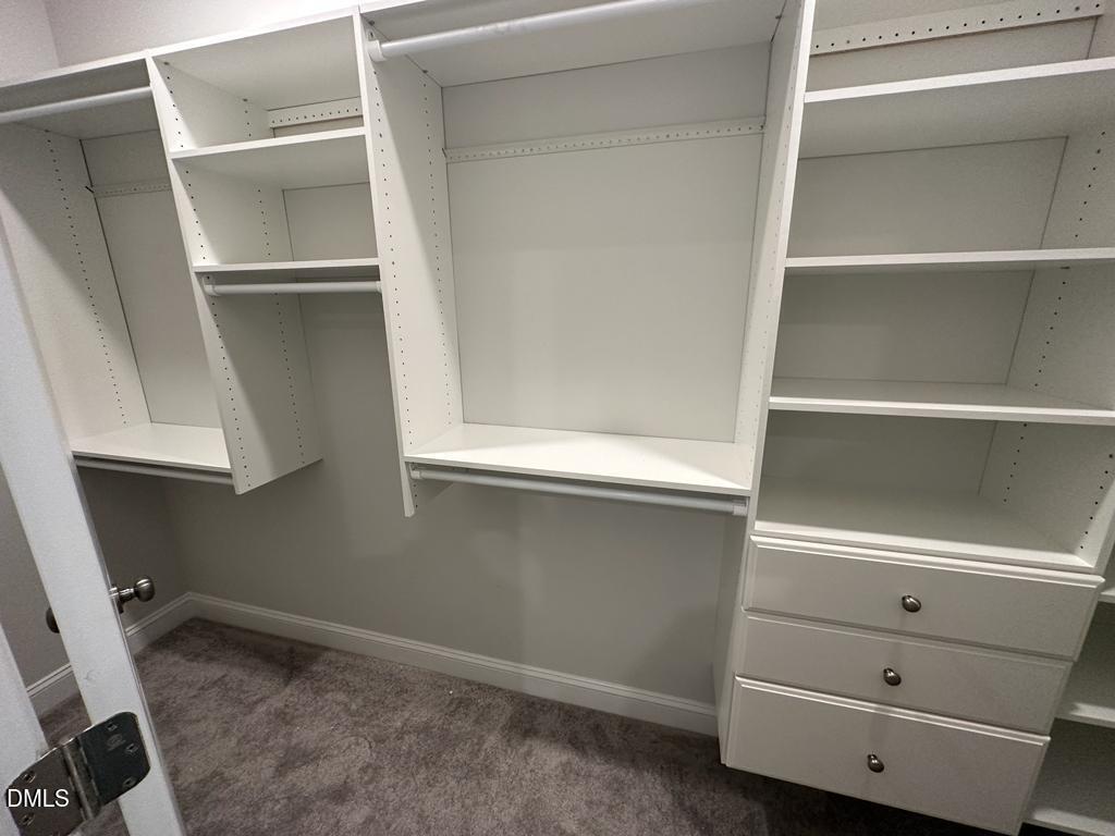 1205 Spring Wheat Court Property Photo 44