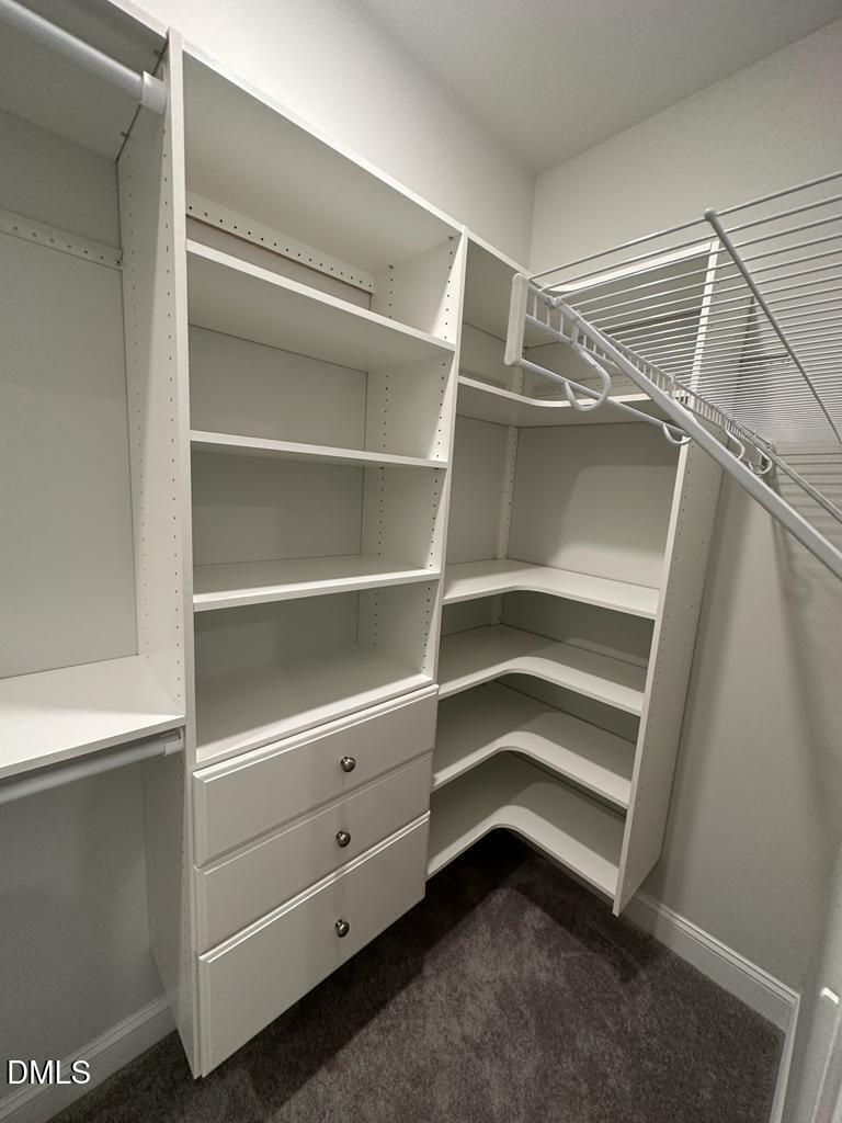 1205 Spring Wheat Court Property Photo 72