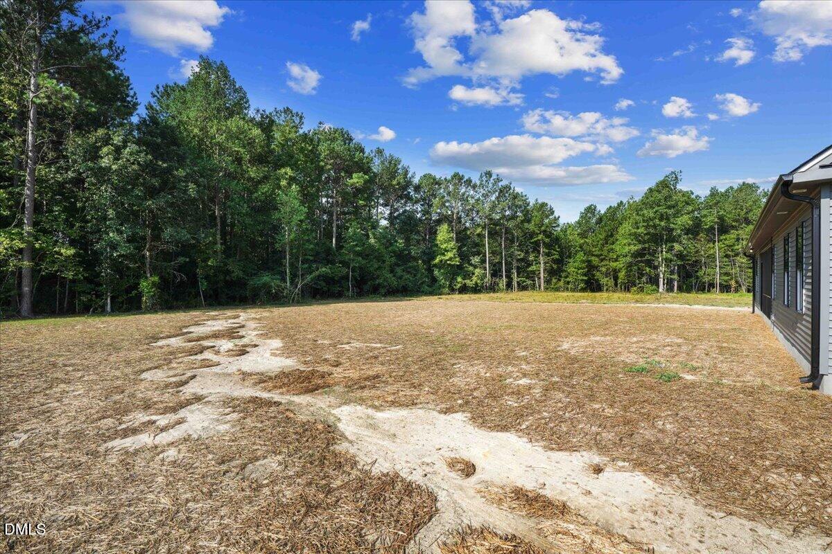 81 Birchtop Circle Property Photo 61
