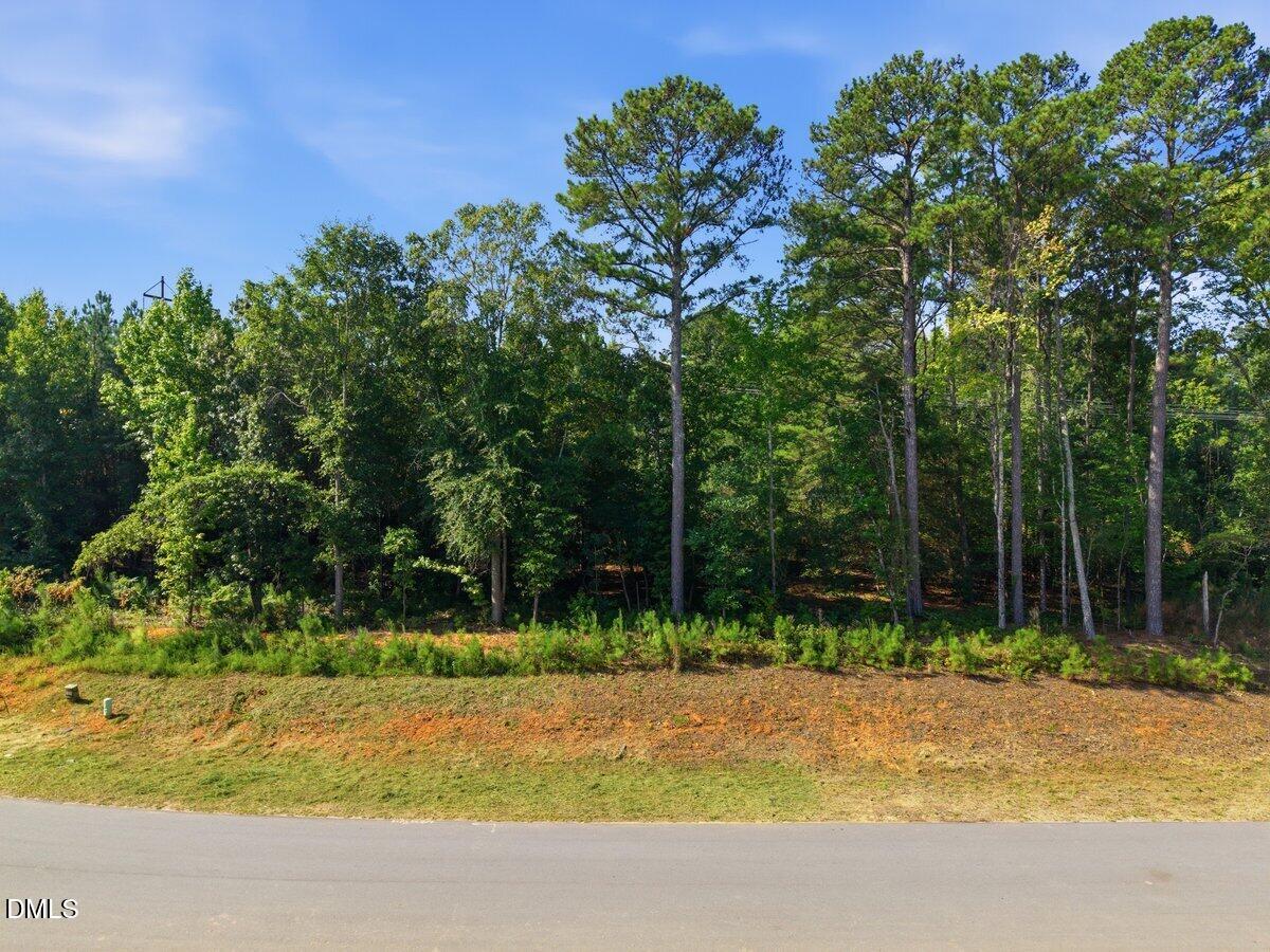 331 Meadow Walk Drive Property Photo 1
